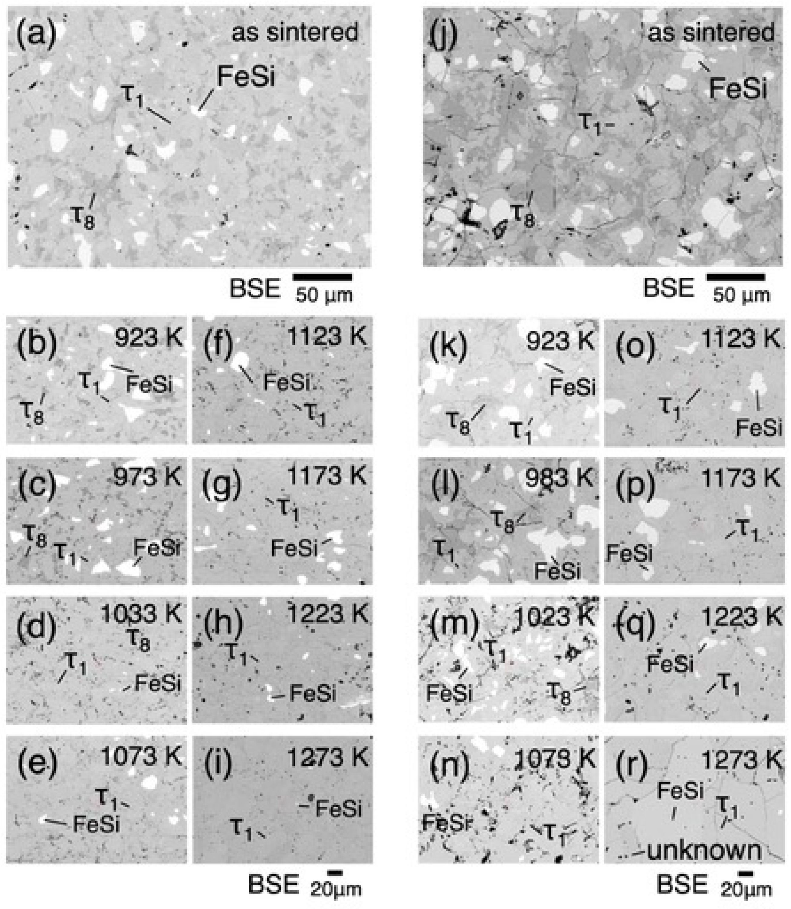 Materials 17 05899 g002