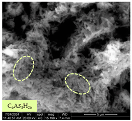 Materials 17 05901 i006