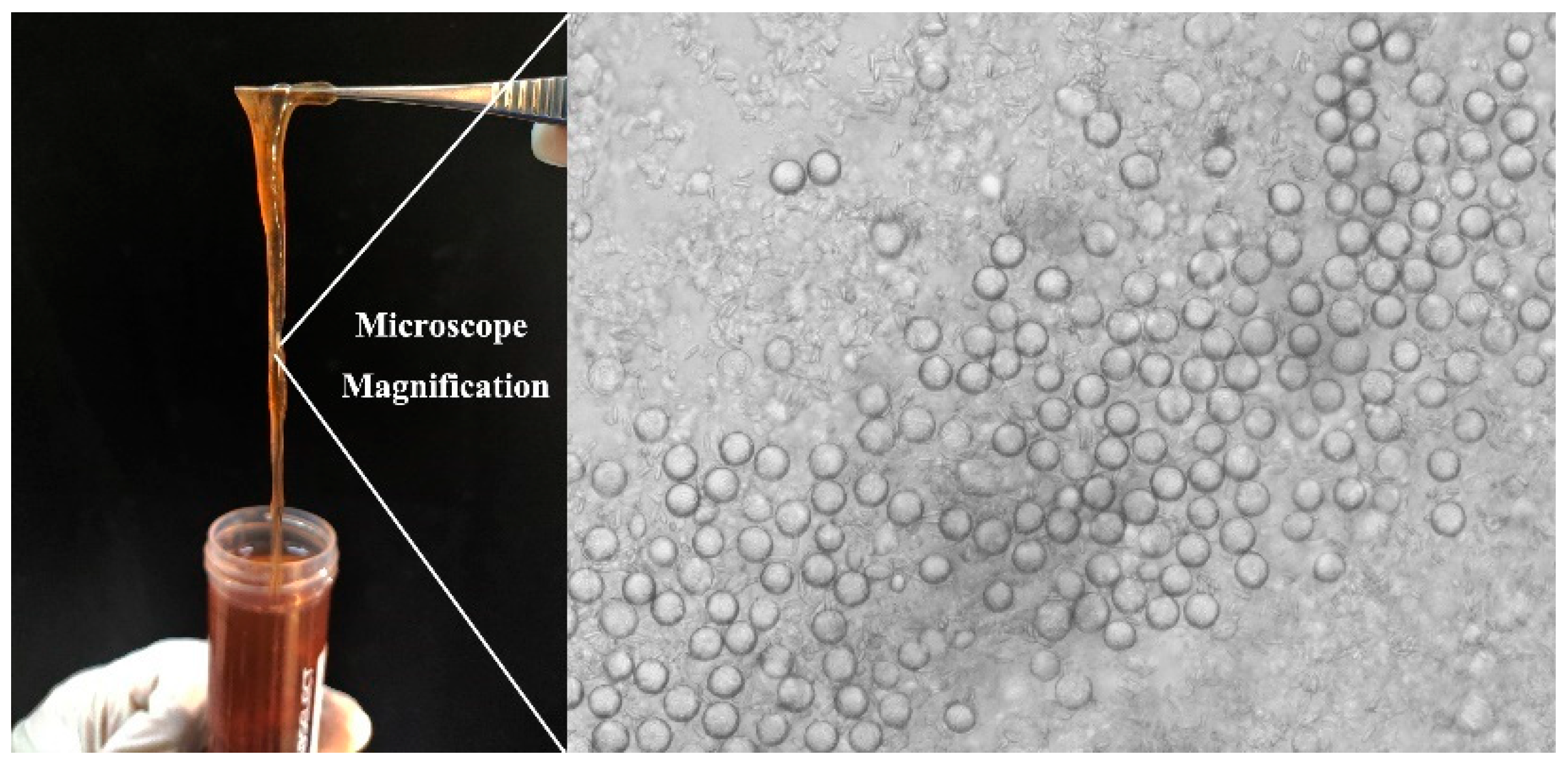 Materials 17 05983 g001