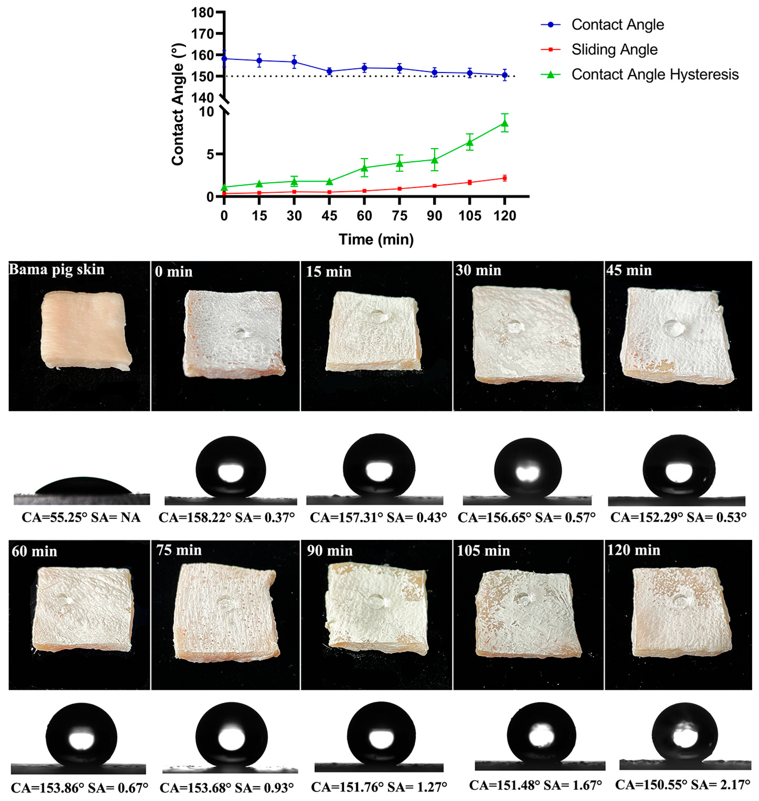 Materials 17 05983 g006