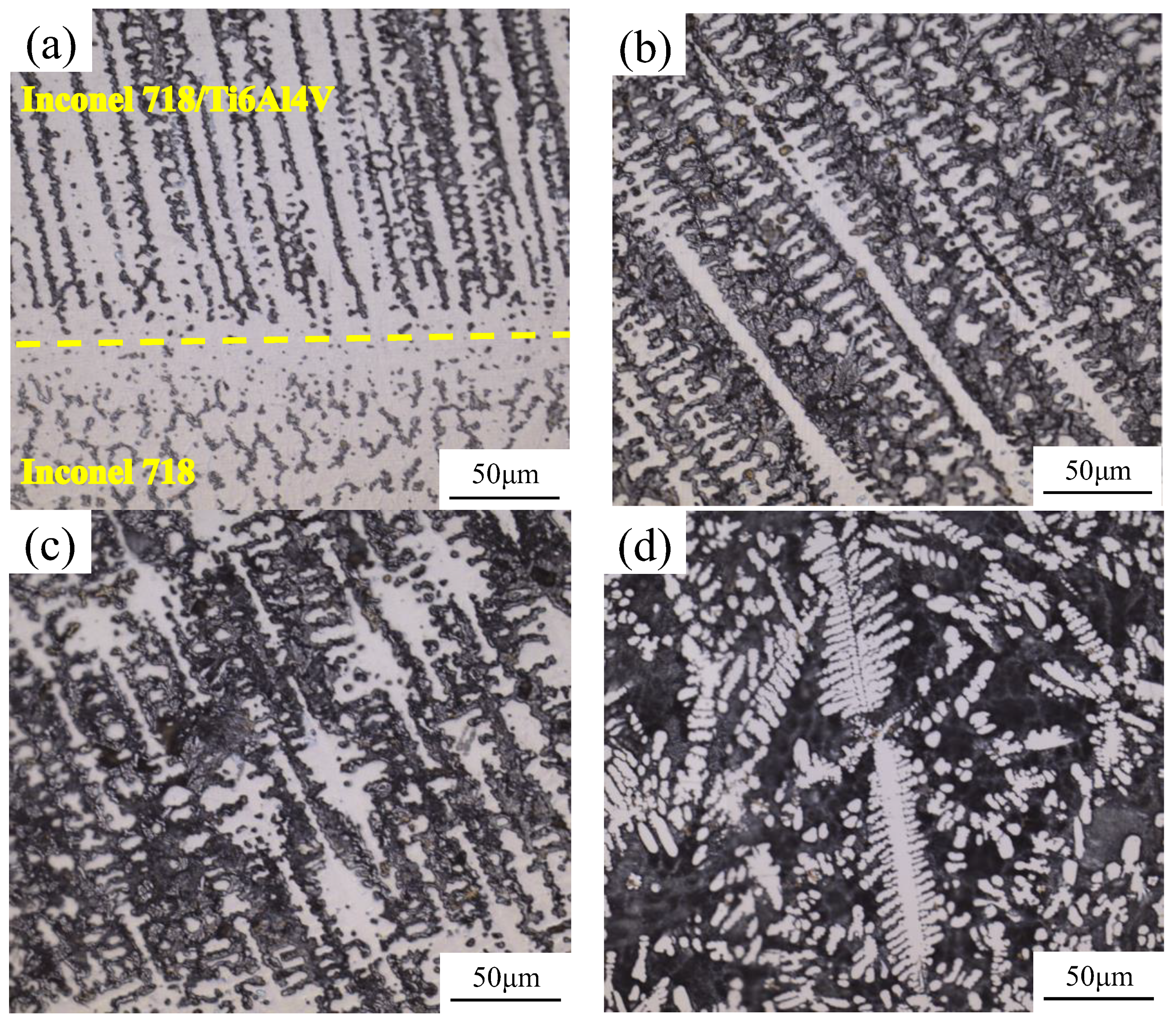 Materials 17 05989 g004