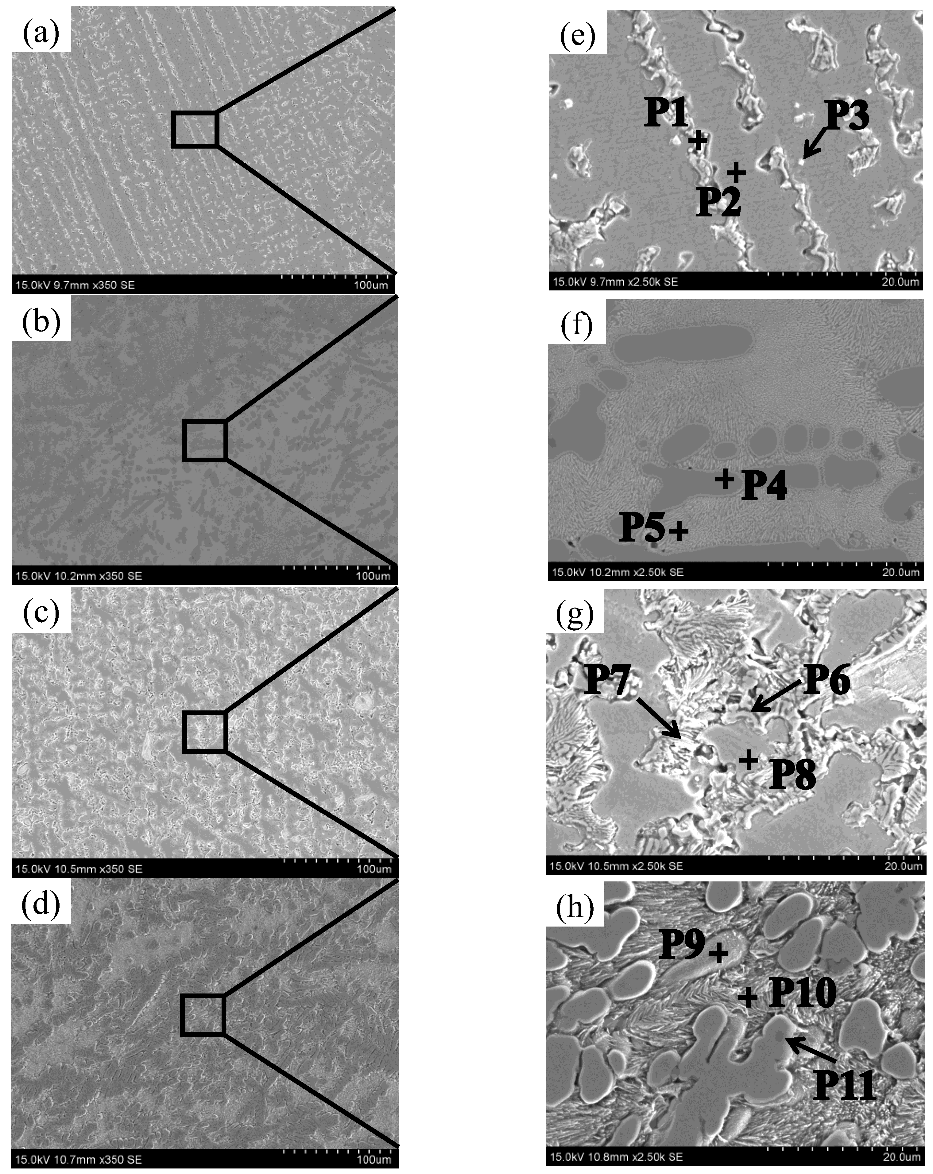 Materials 17 05989 g007