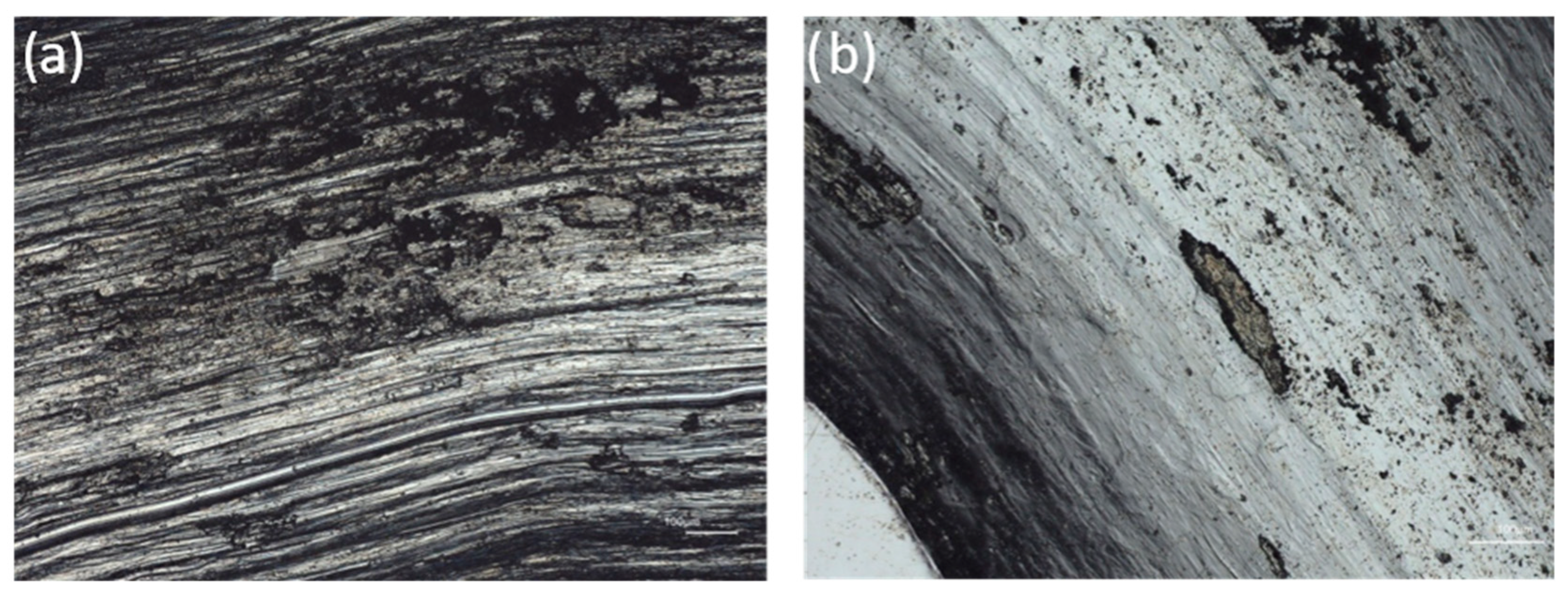 Materials 17 06021 g008