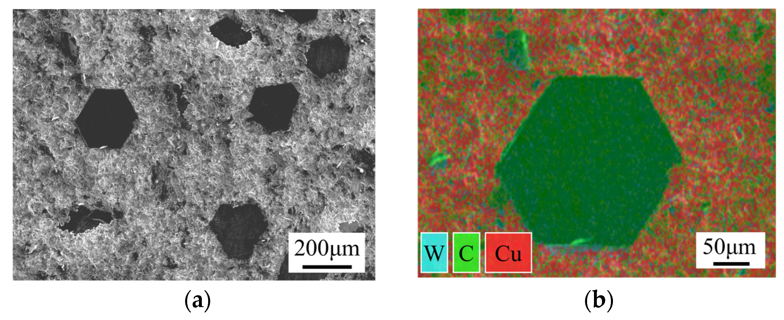 Materials 17 06026 g001