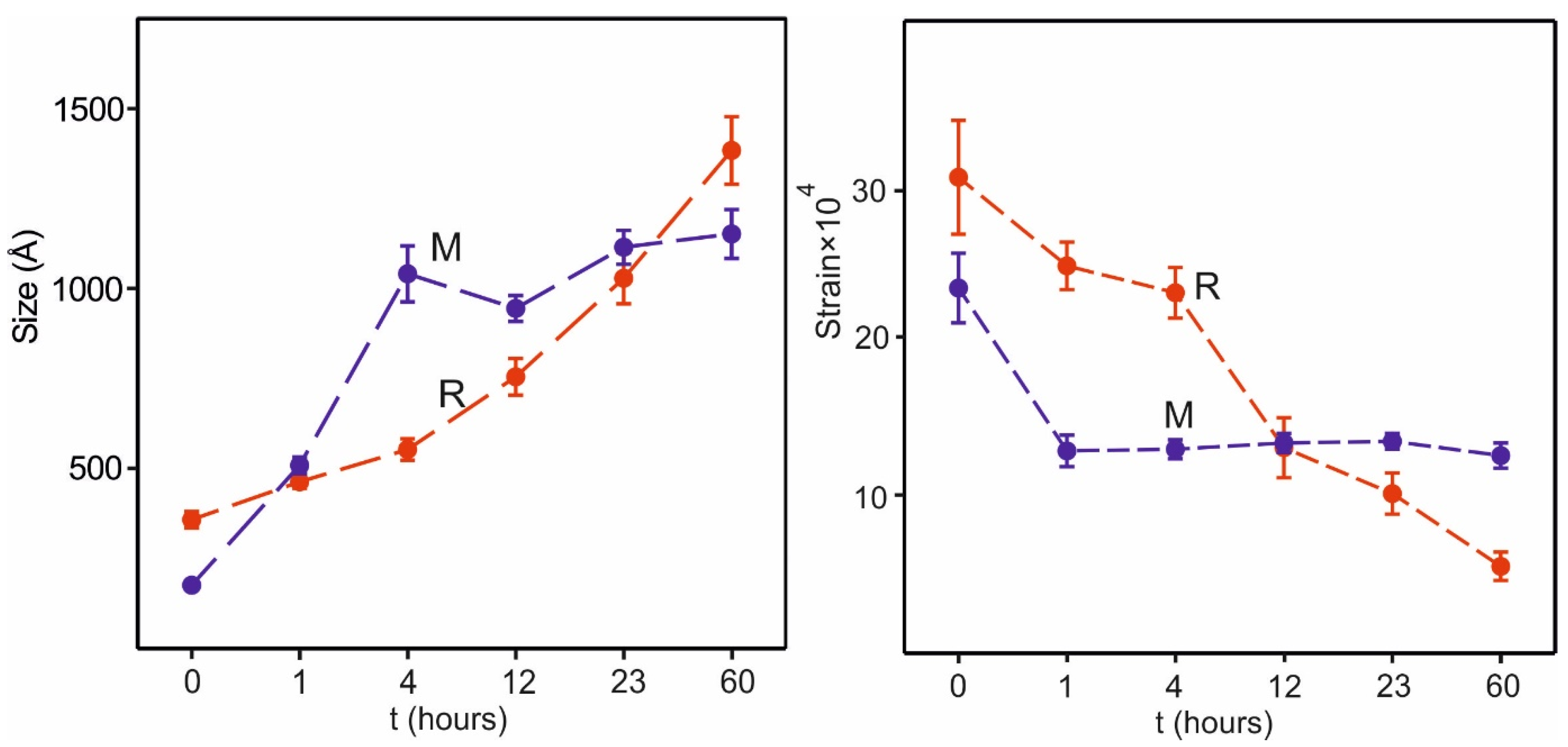 Materials 17 06056 g006