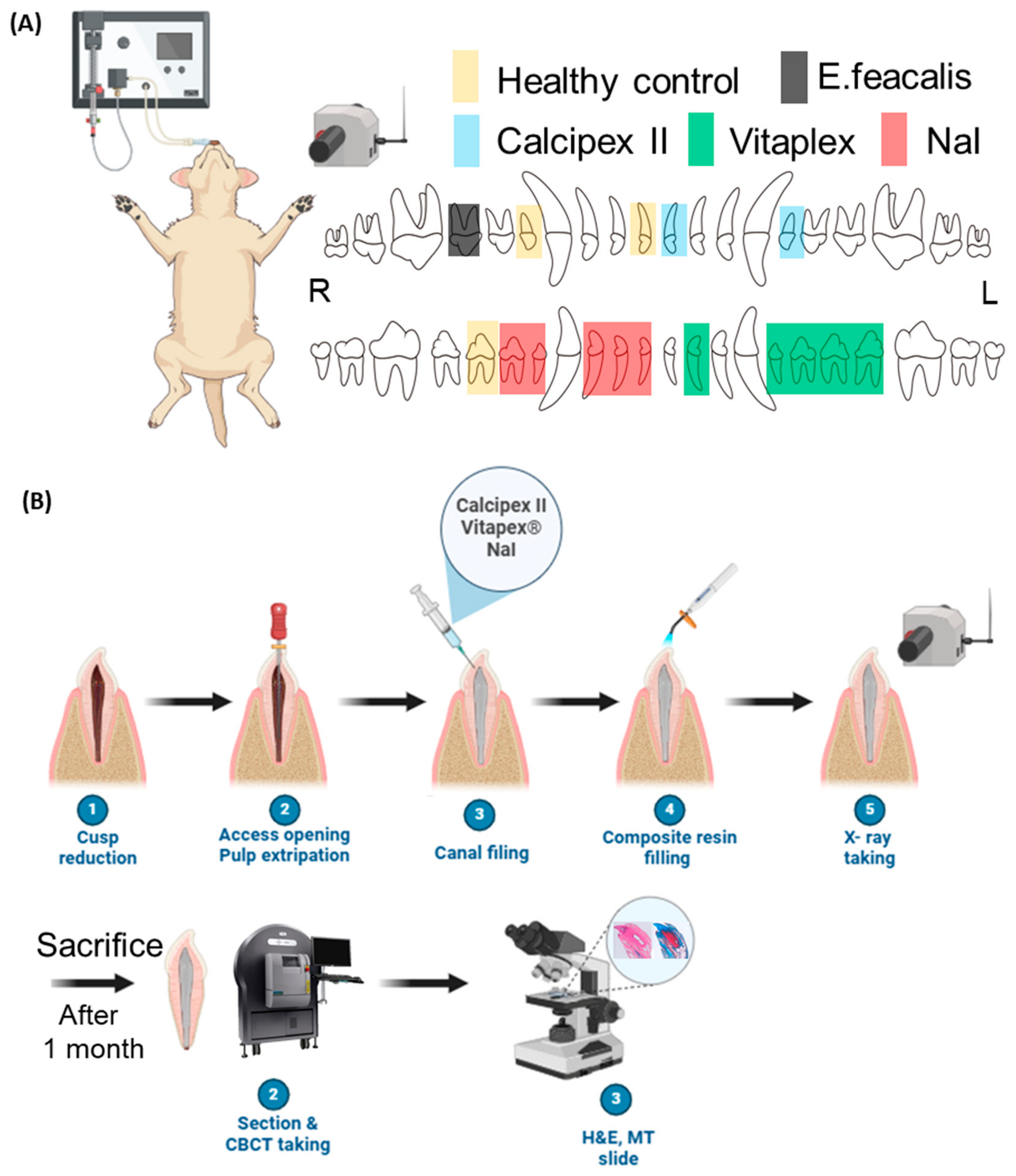 Materials 17 06082 g001