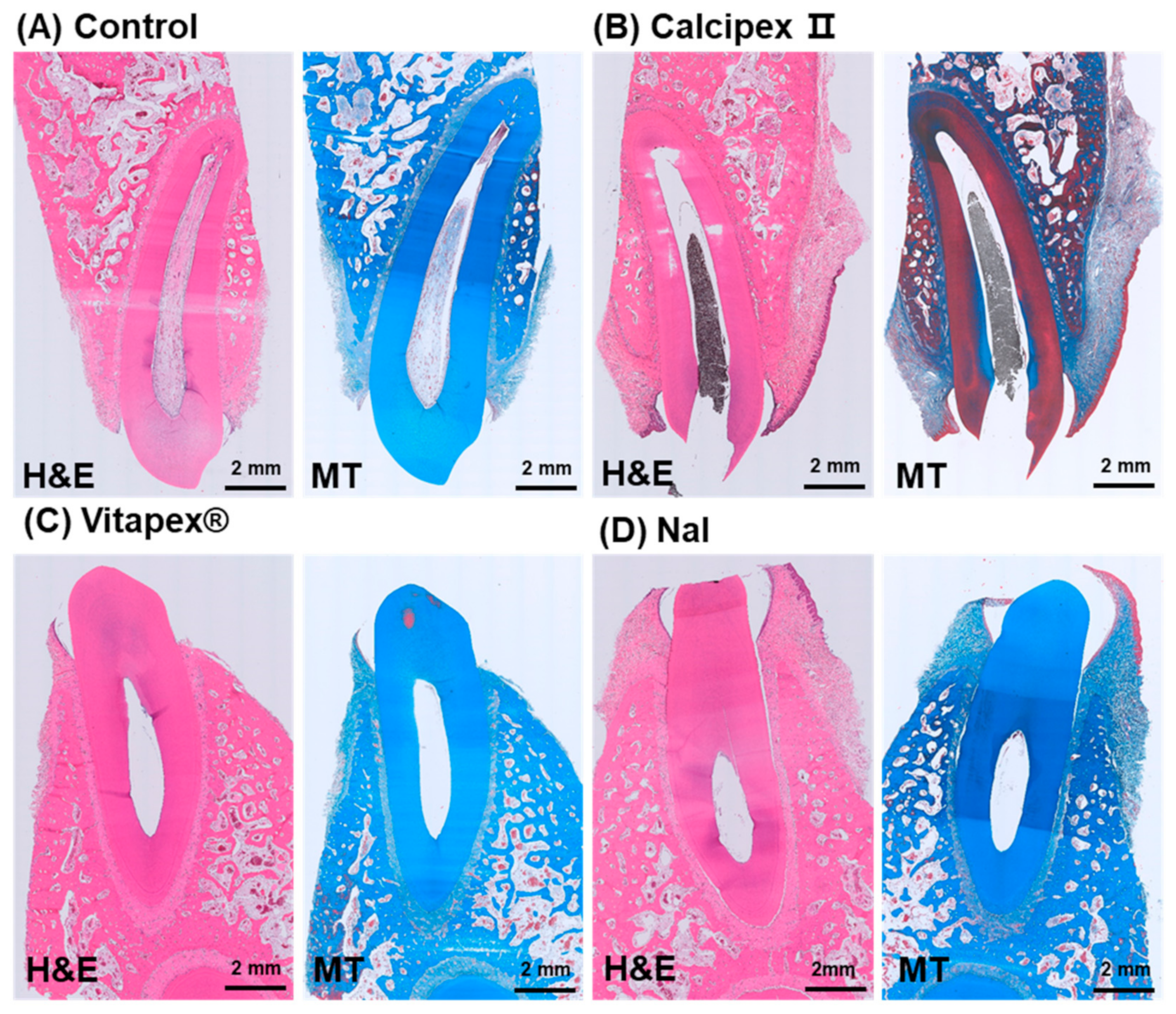 Materials 17 06082 g003
