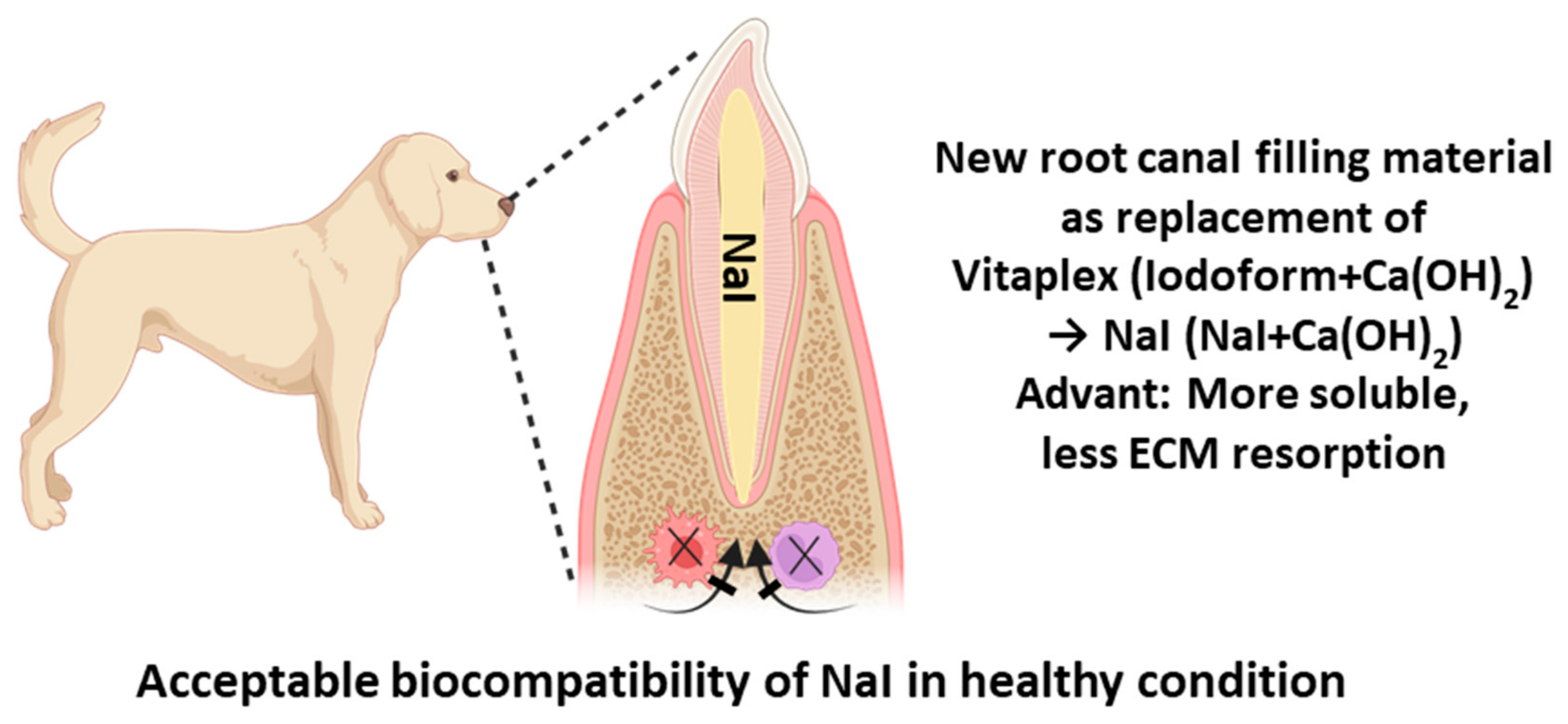 Materials 17 06082 g007