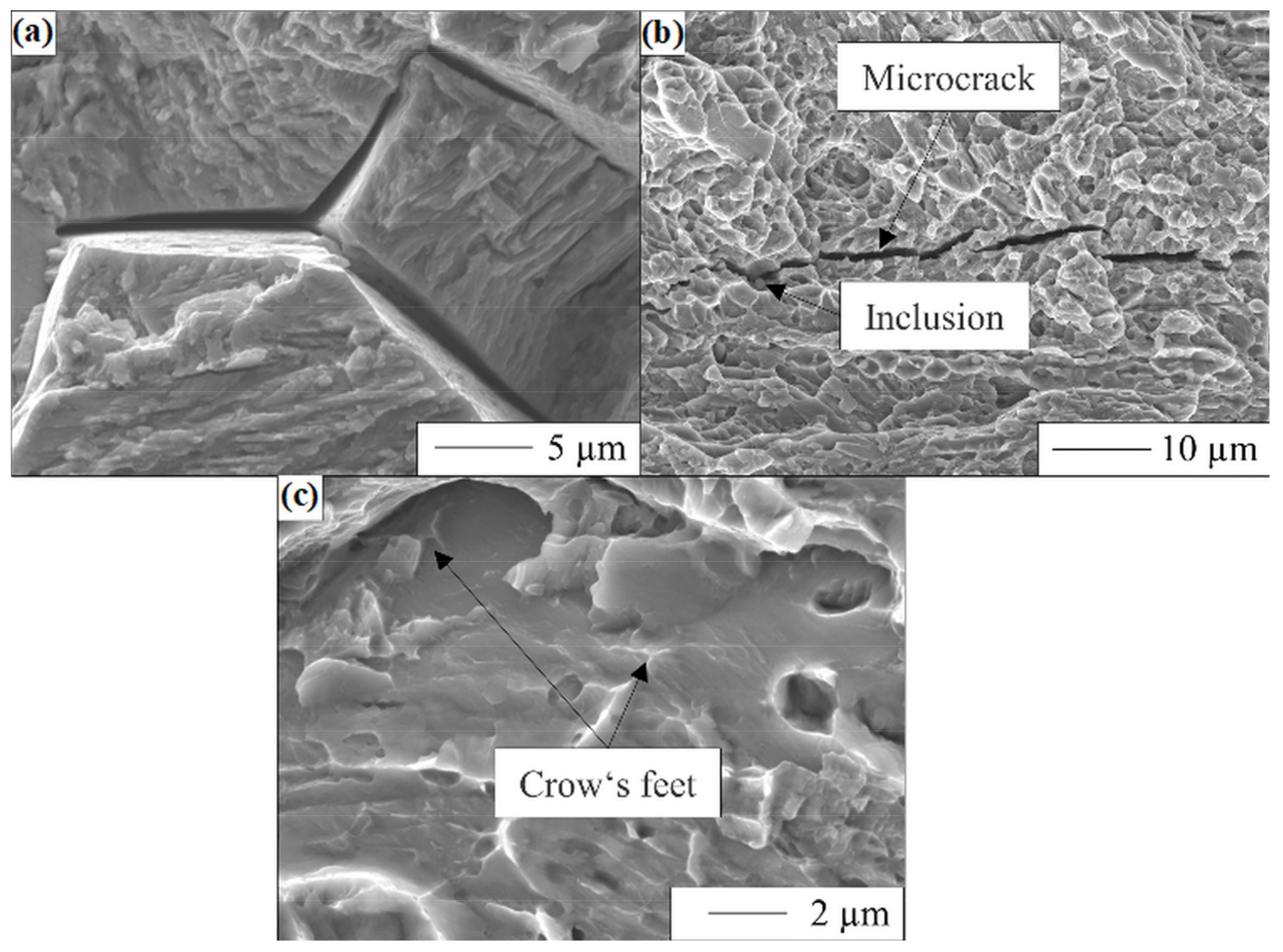 Materials 17 06114 g009 Materials 17 06114 g009