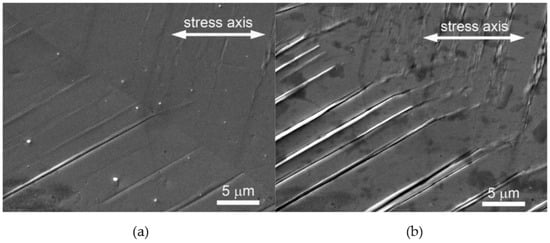 Materials 17 06147 g001