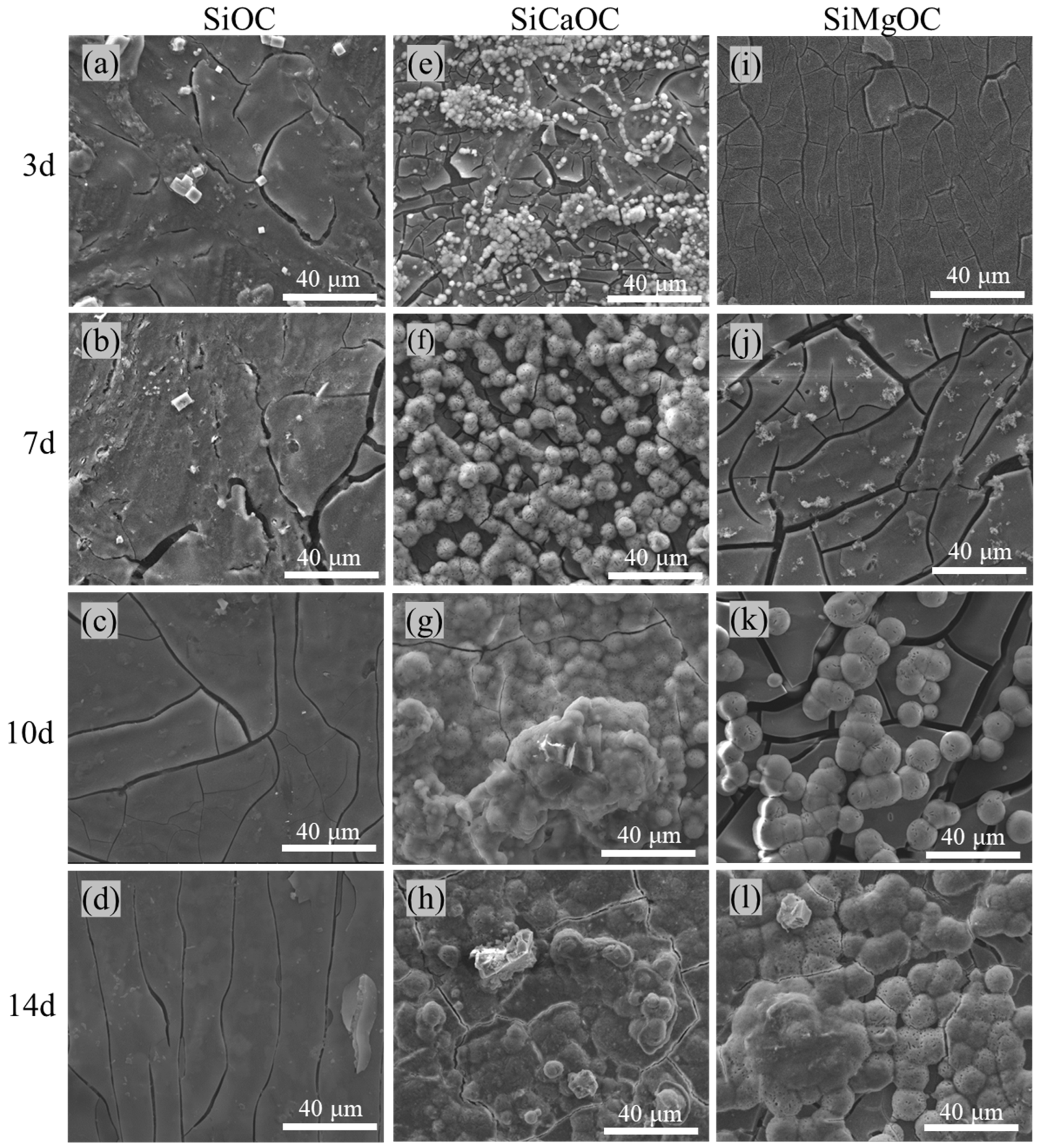 Materials 17 06159 g005 Materials 17 06159 g005