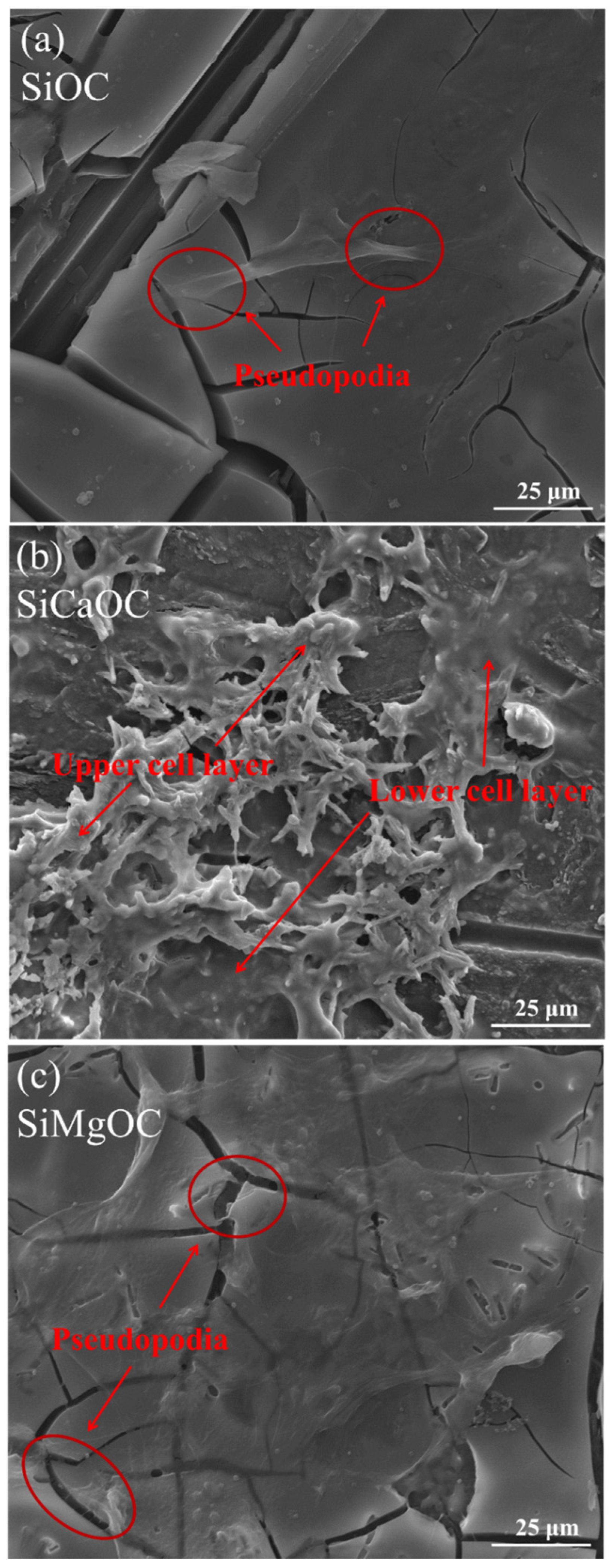 Materials 17 06159 g009 Materials 17 06159 g009