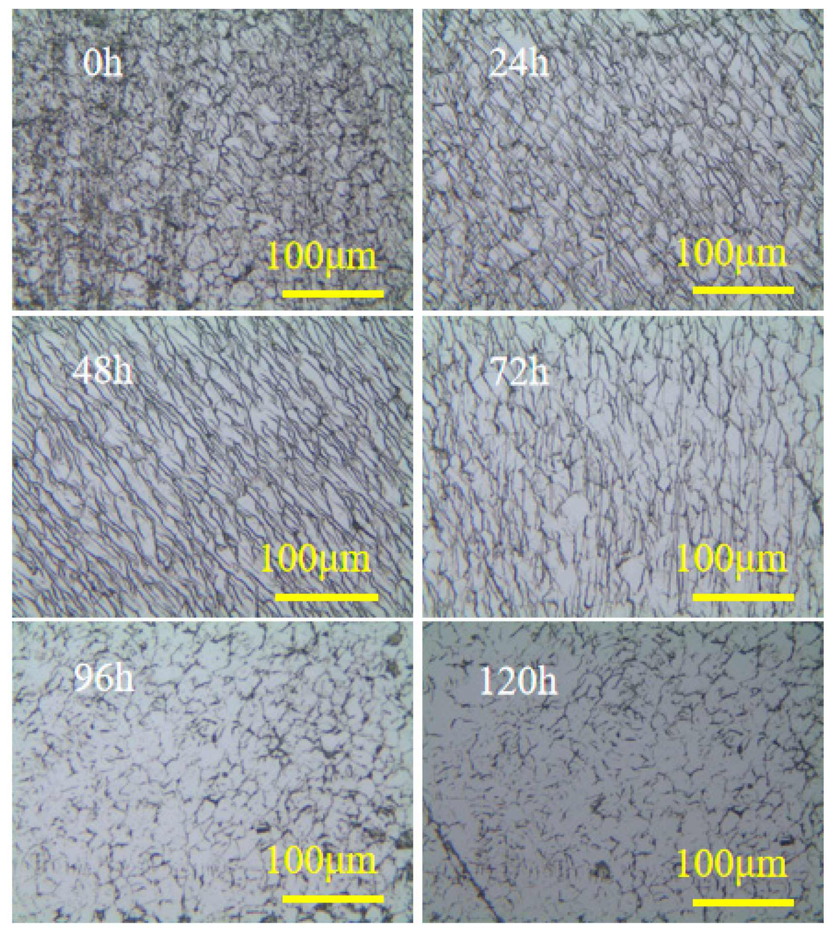 Materials 17 06200 g026 Materials 17 06200 g026