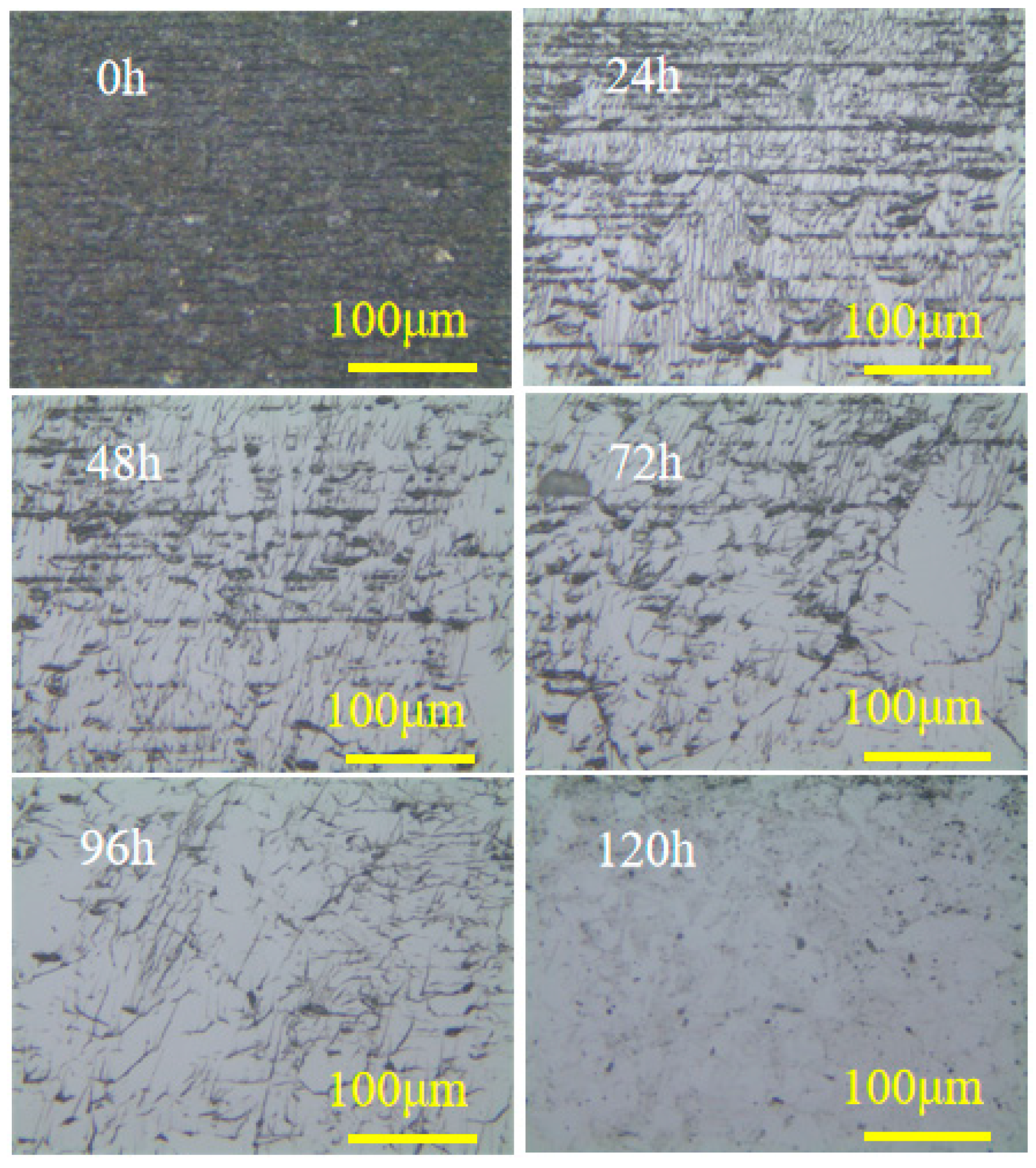 Materials 17 06200 g027 Materials 17 06200 g027