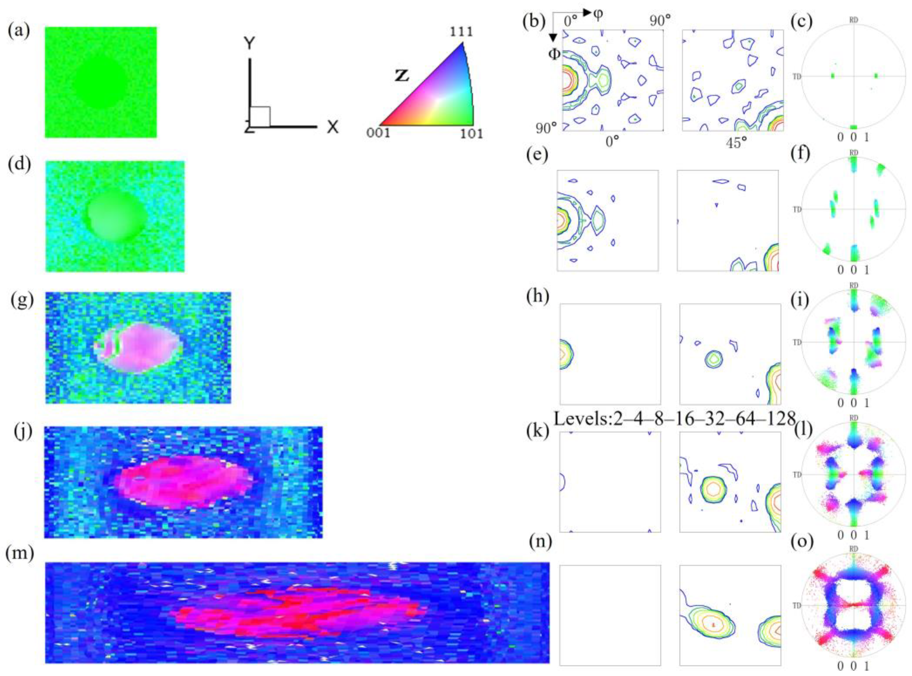 Materials 17 06276 g009