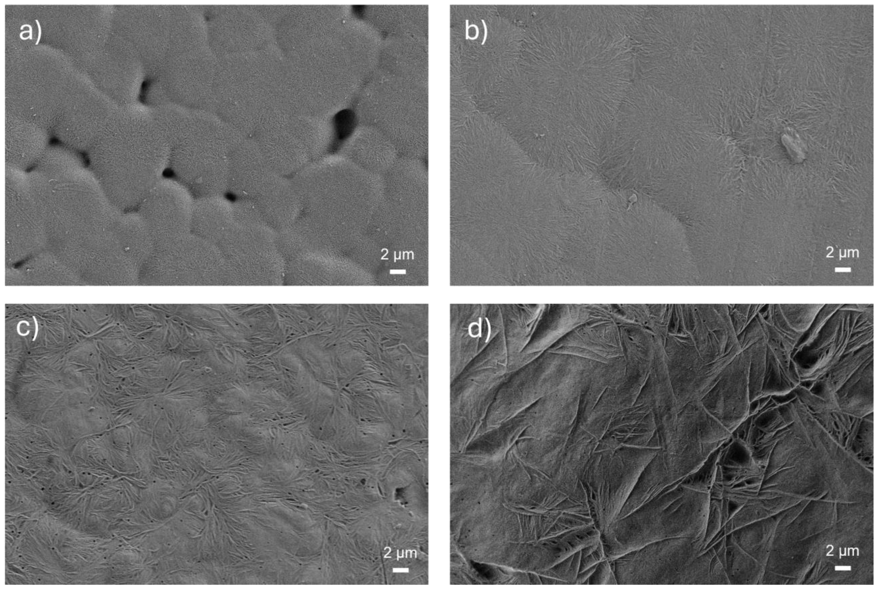 Materials 18 00022 g002