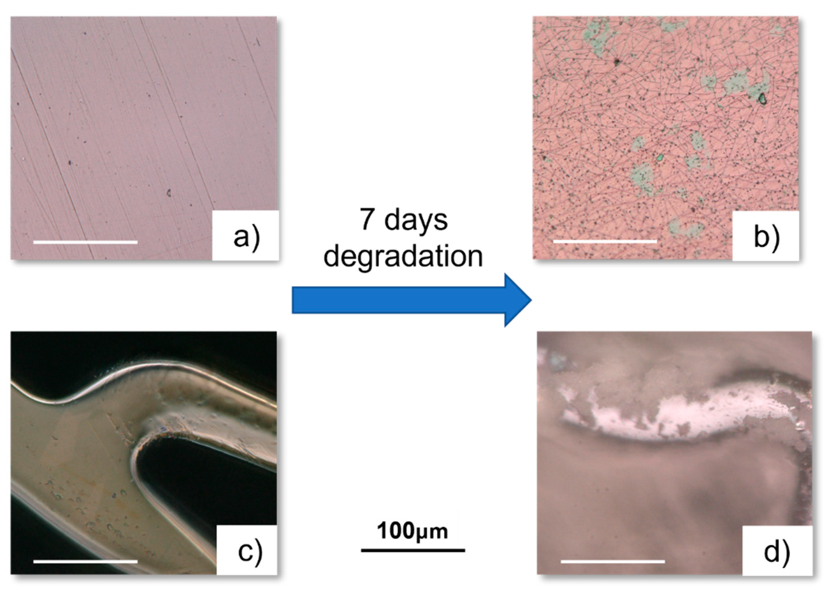 Materials 18 00046 g003