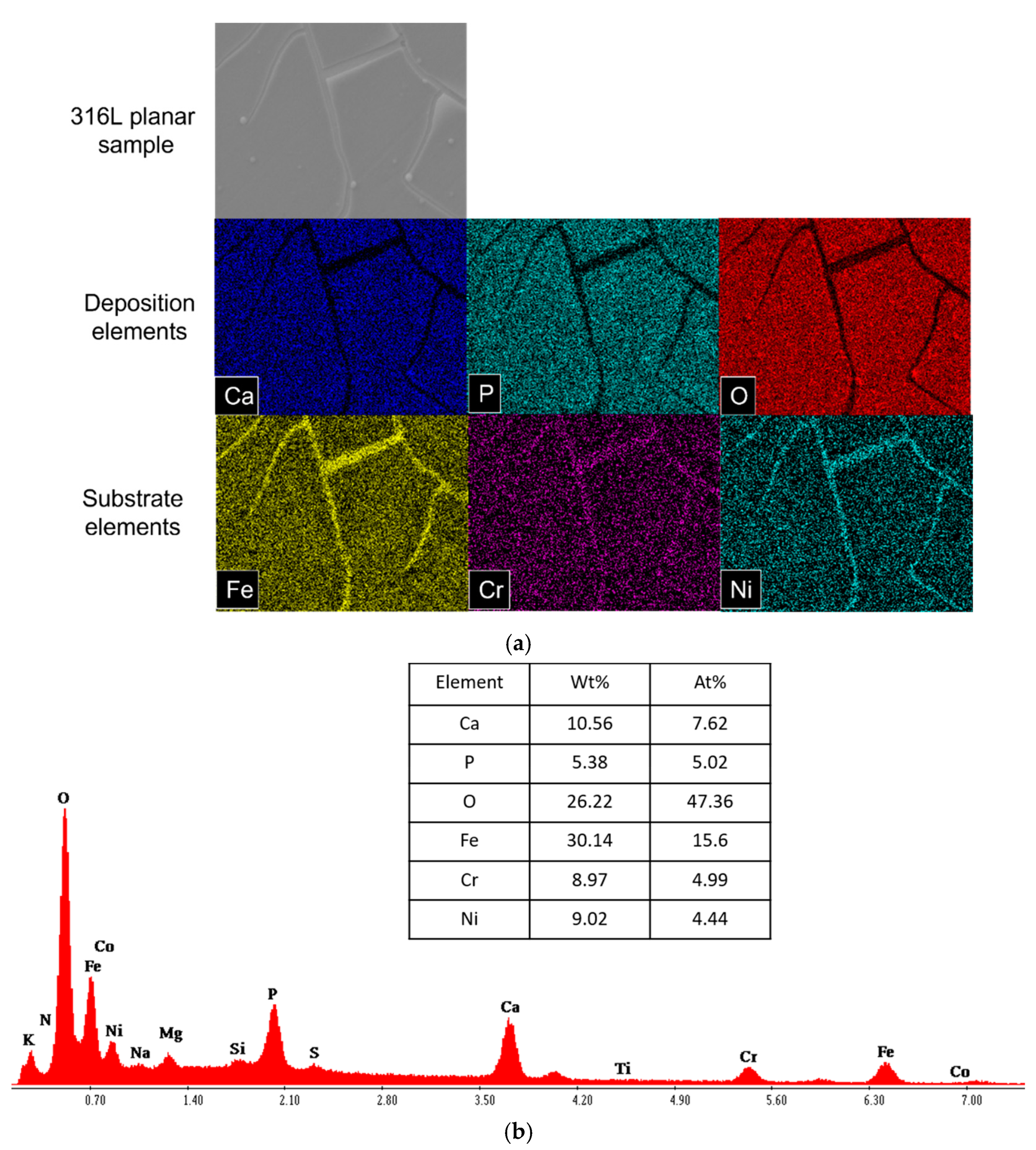 Materials 18 00046 g004