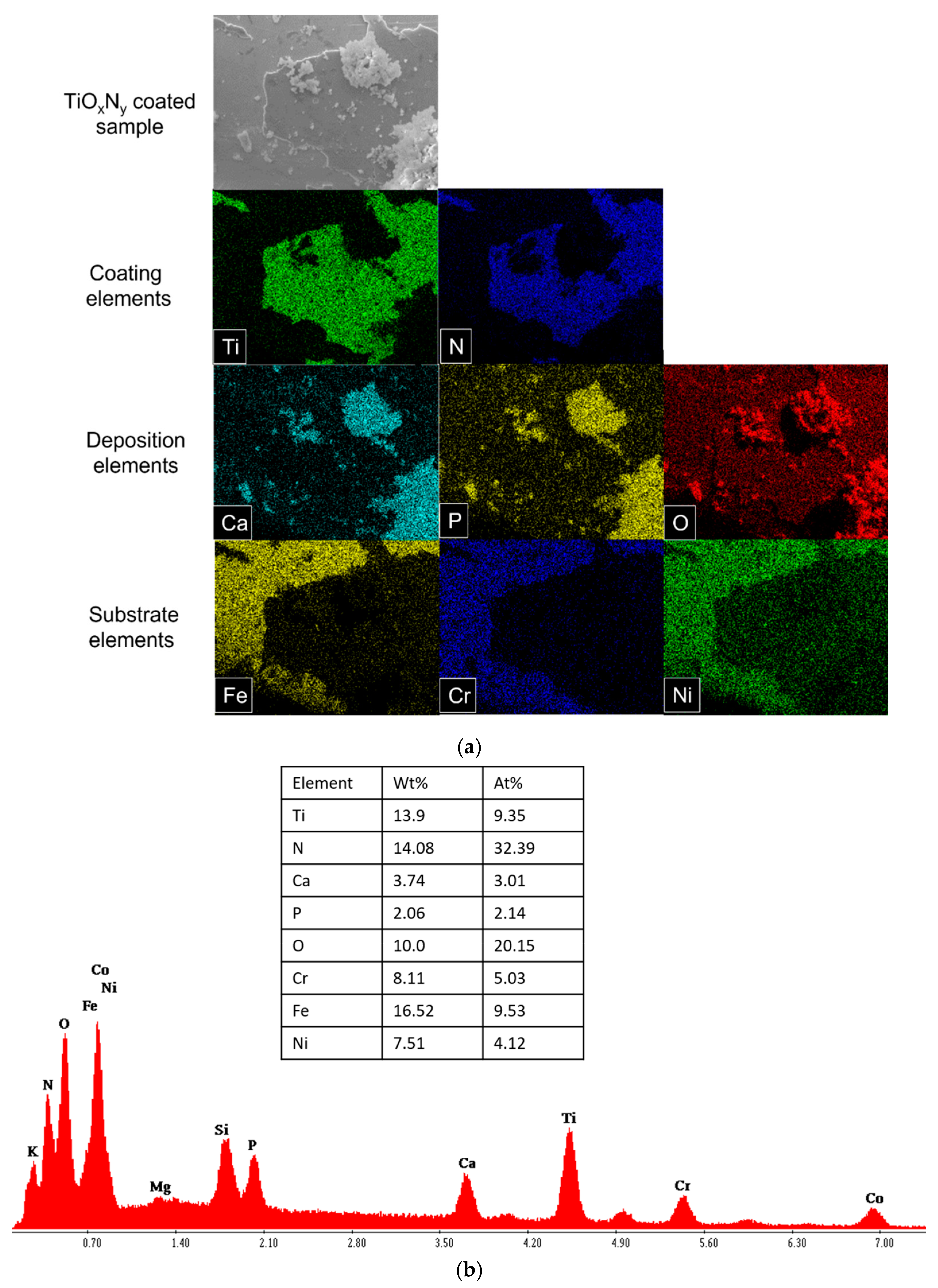 Materials 18 00046 g005