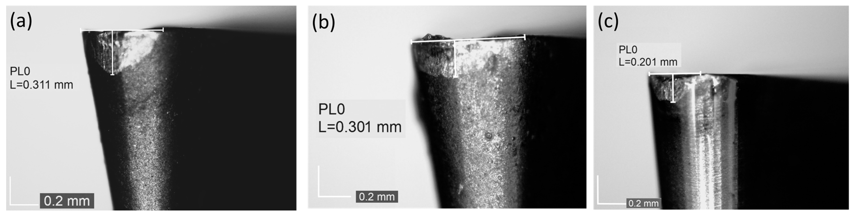 Materials 18 00079 g006