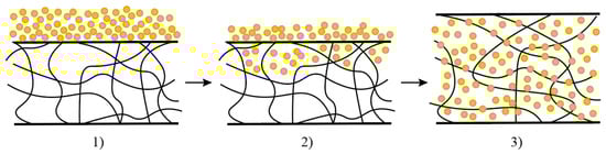 Materials 18 00114 g007