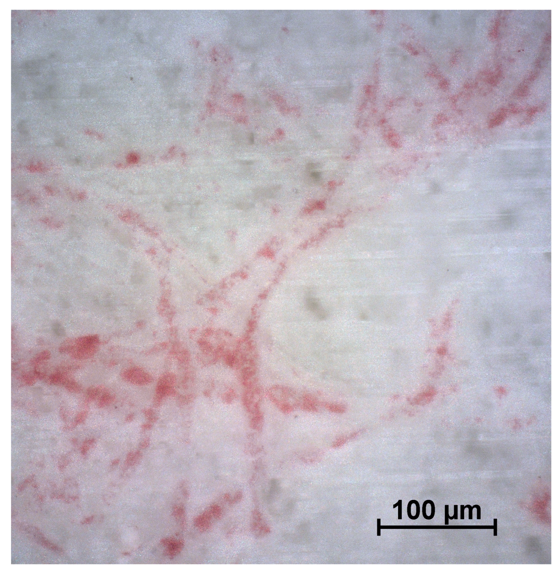 Materials 18 00117 g005