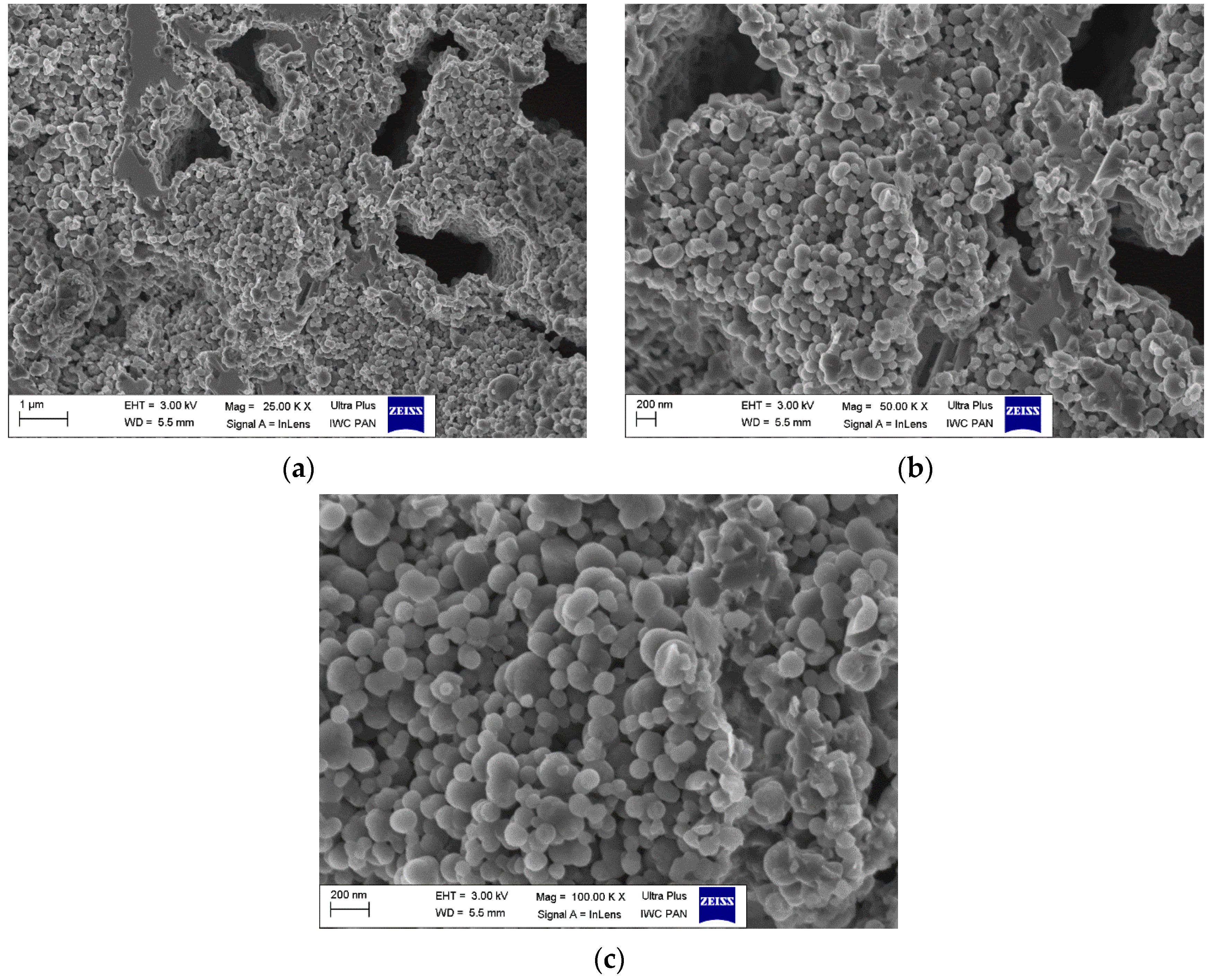 Materials 18 00126 g012 Materials 18 00126 g012