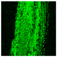 Materials 18 00143 i010