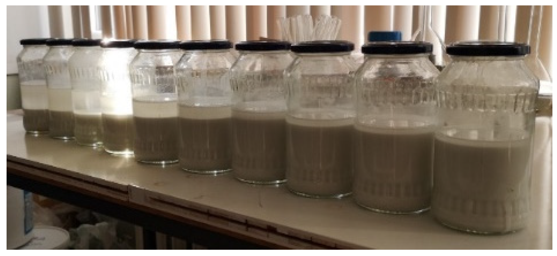 Materials 18 00158 g008