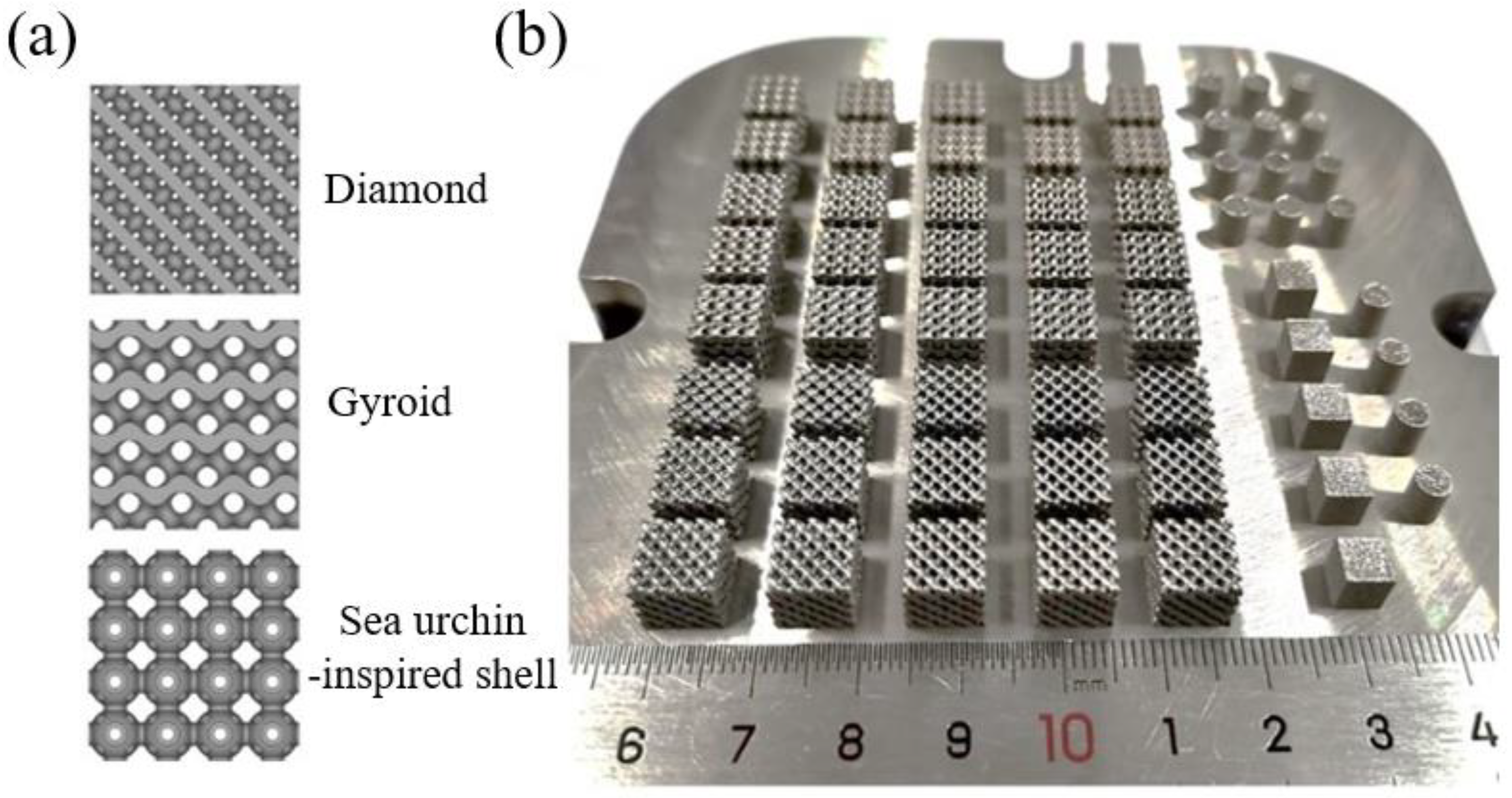 Materials 18 00185 g002