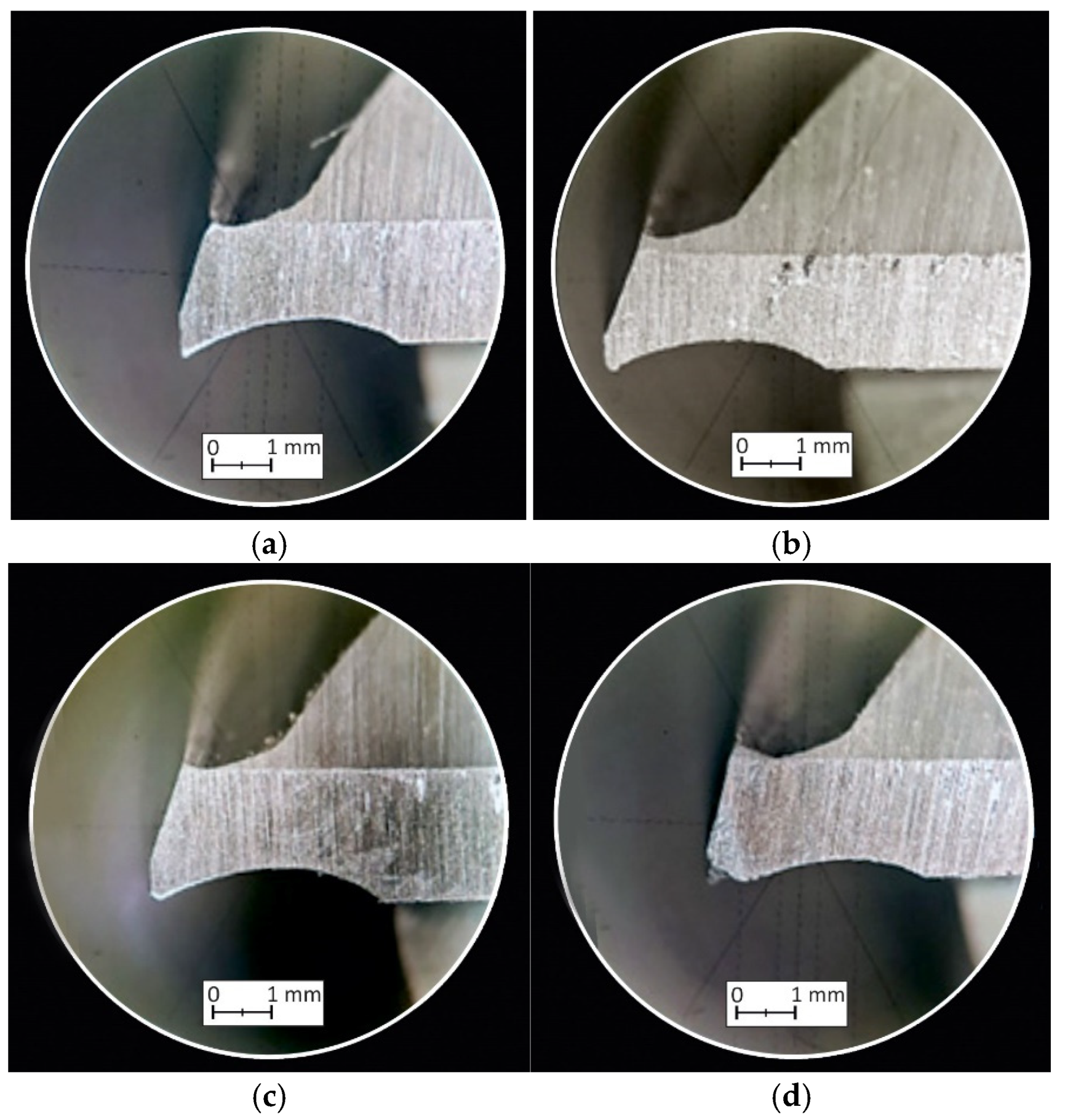 Materials 18 00193 g019