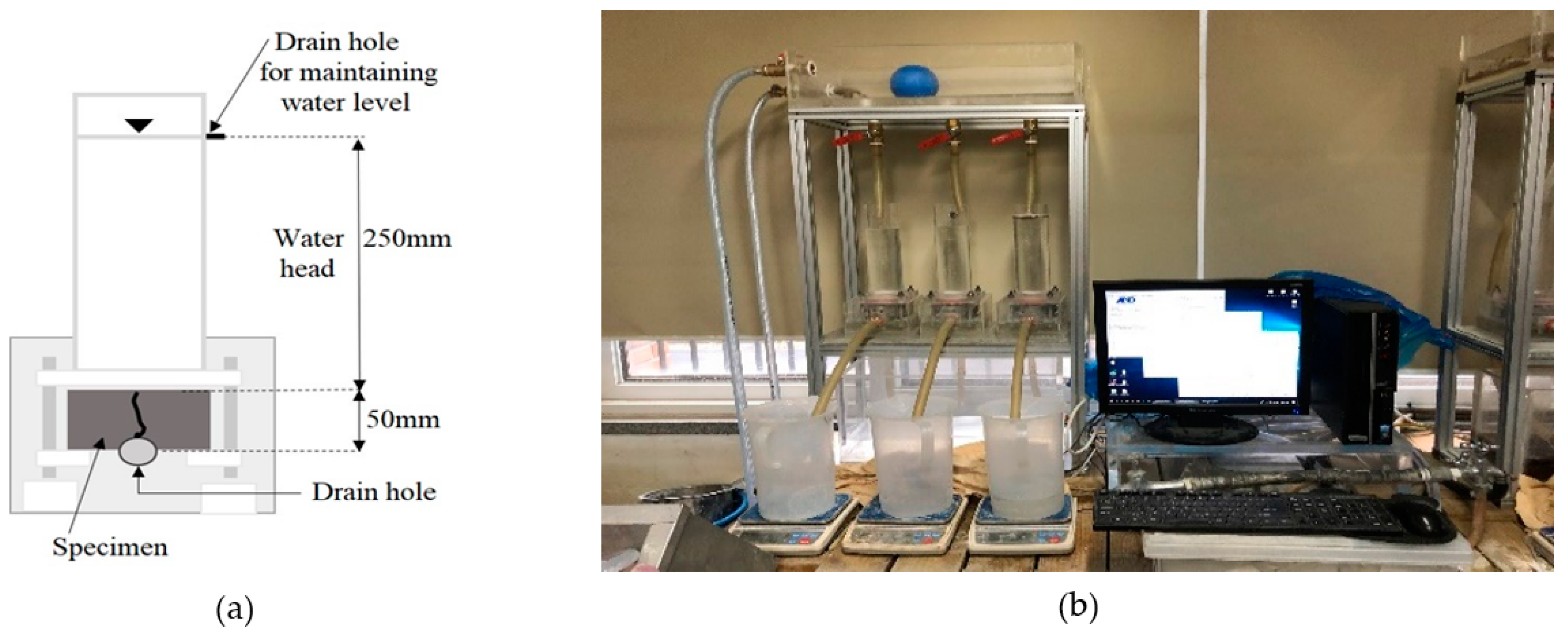 Materials 18 00220 g005