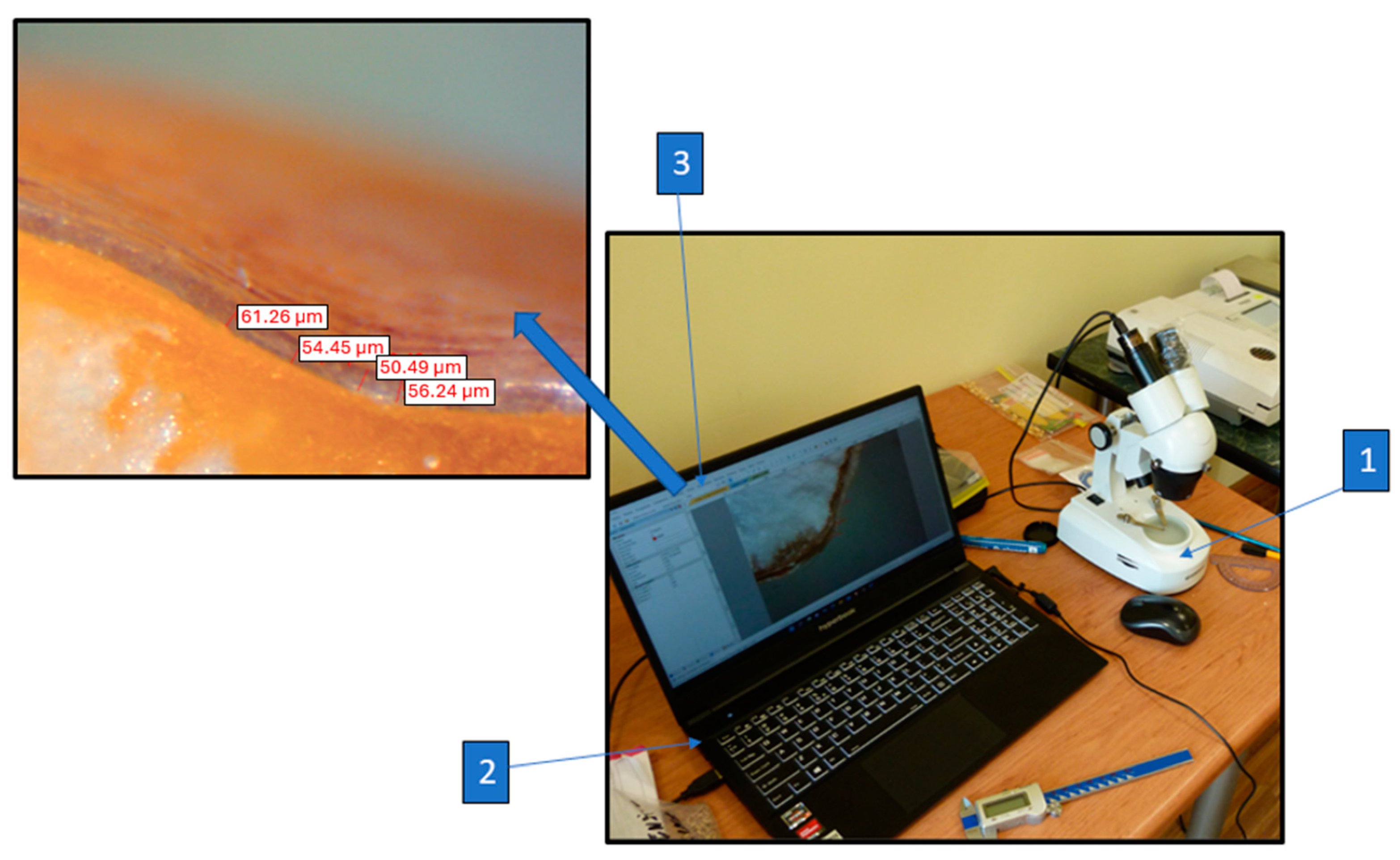 Materials 18 00222 g003