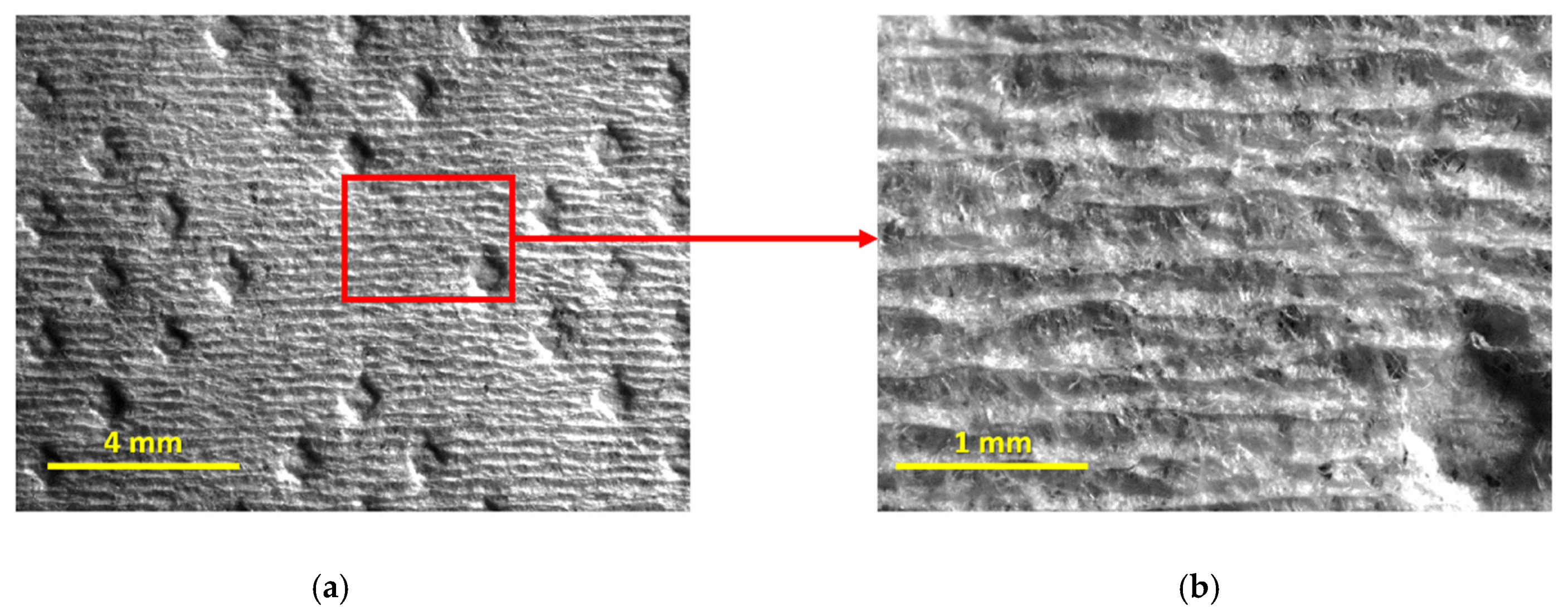 Materials 18 00228 g007