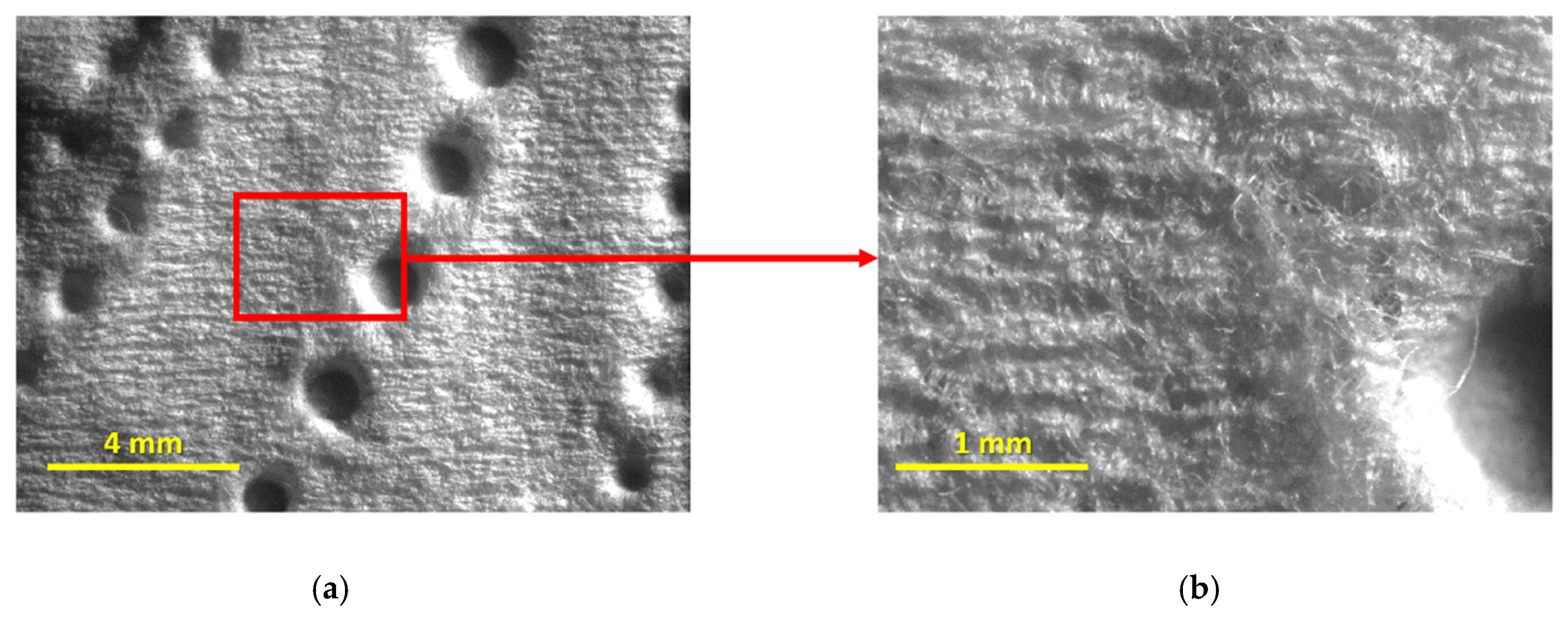 Materials 18 00228 g008