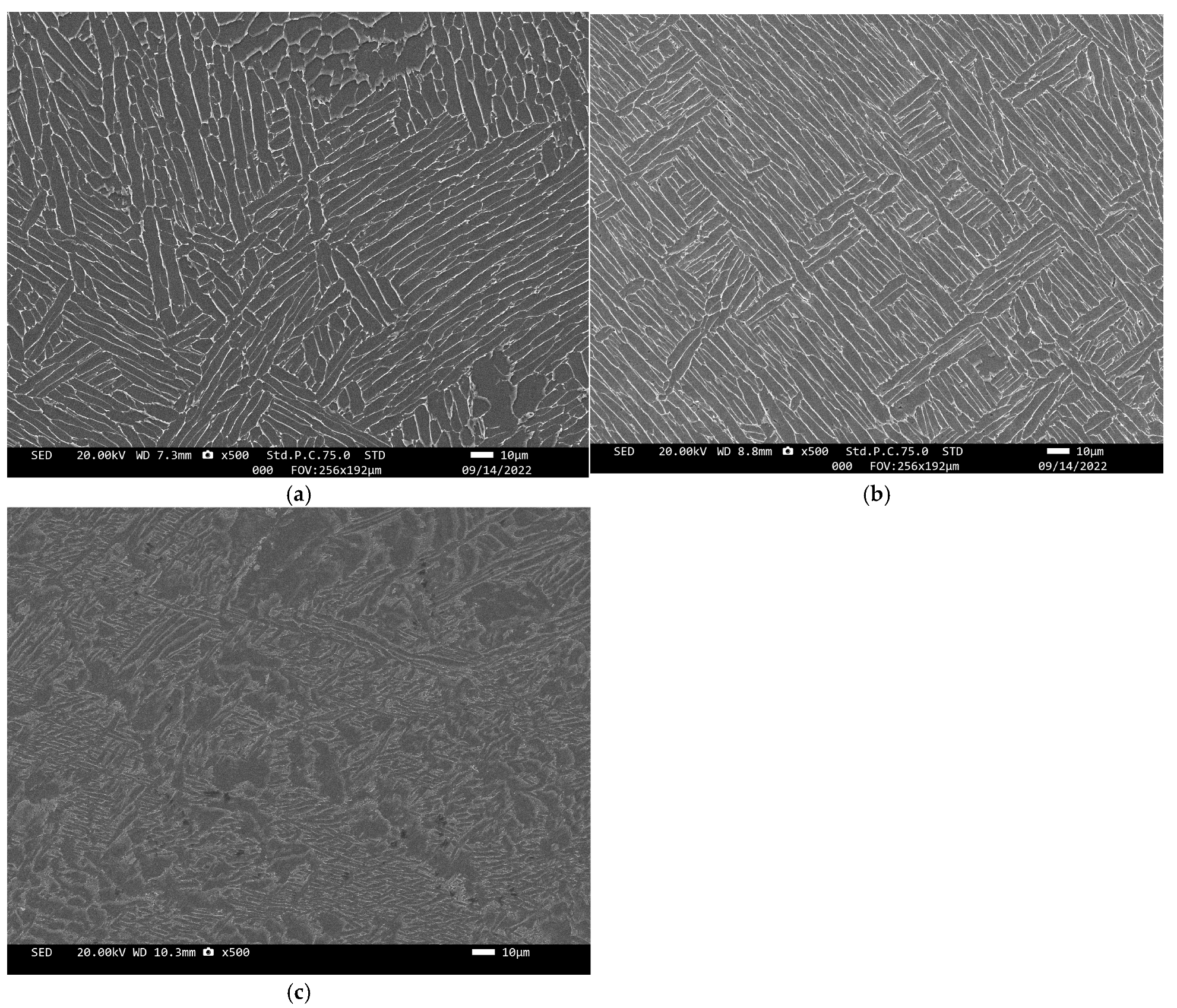 Materials 18 00246 g001