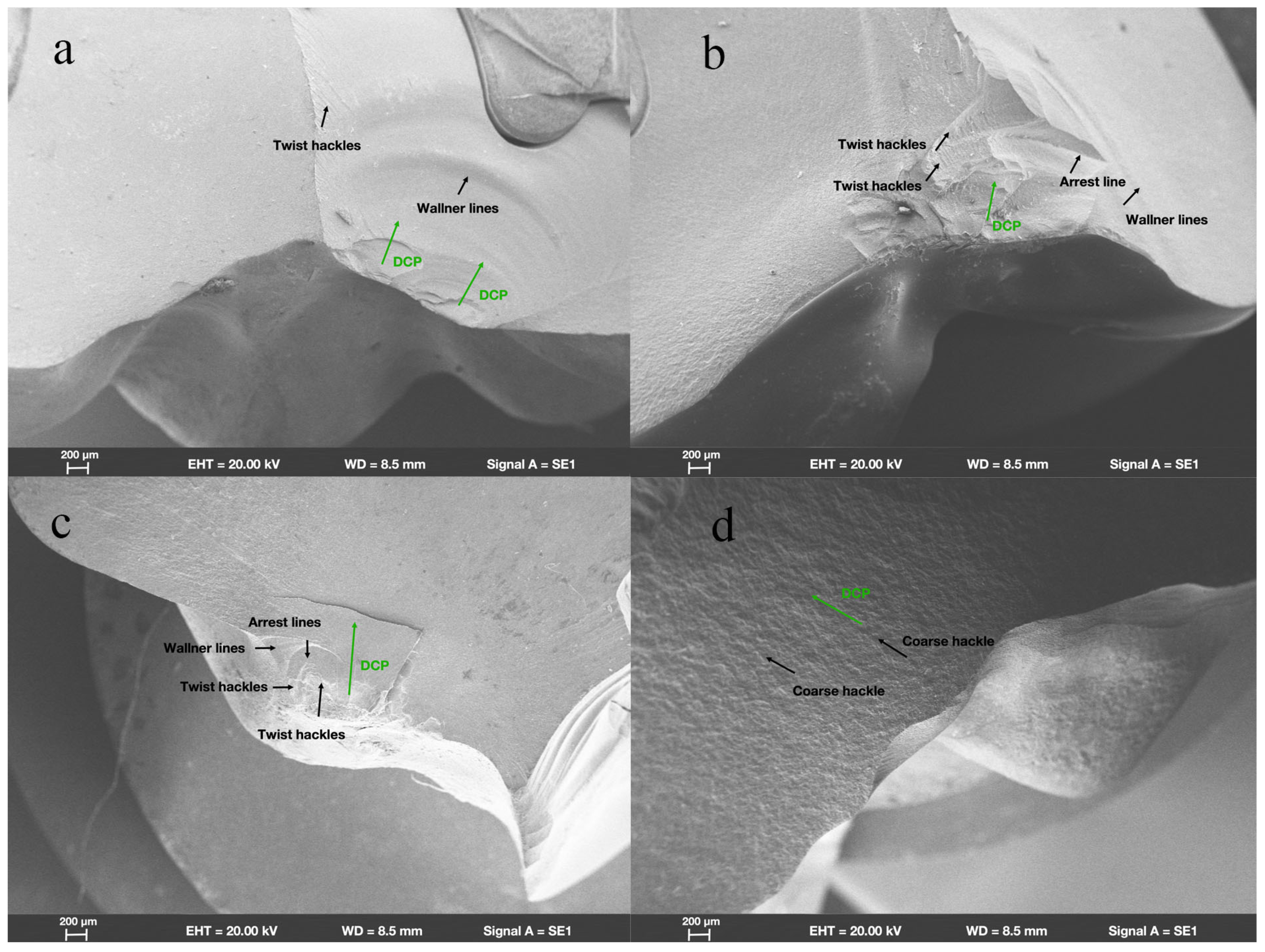 Materials 18 00250 g003
