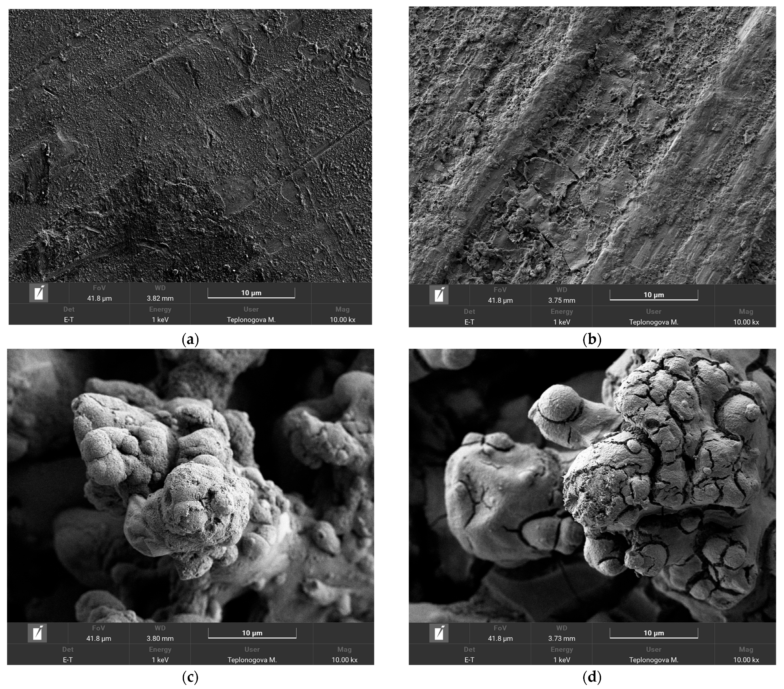 Materials 18 00254 g005