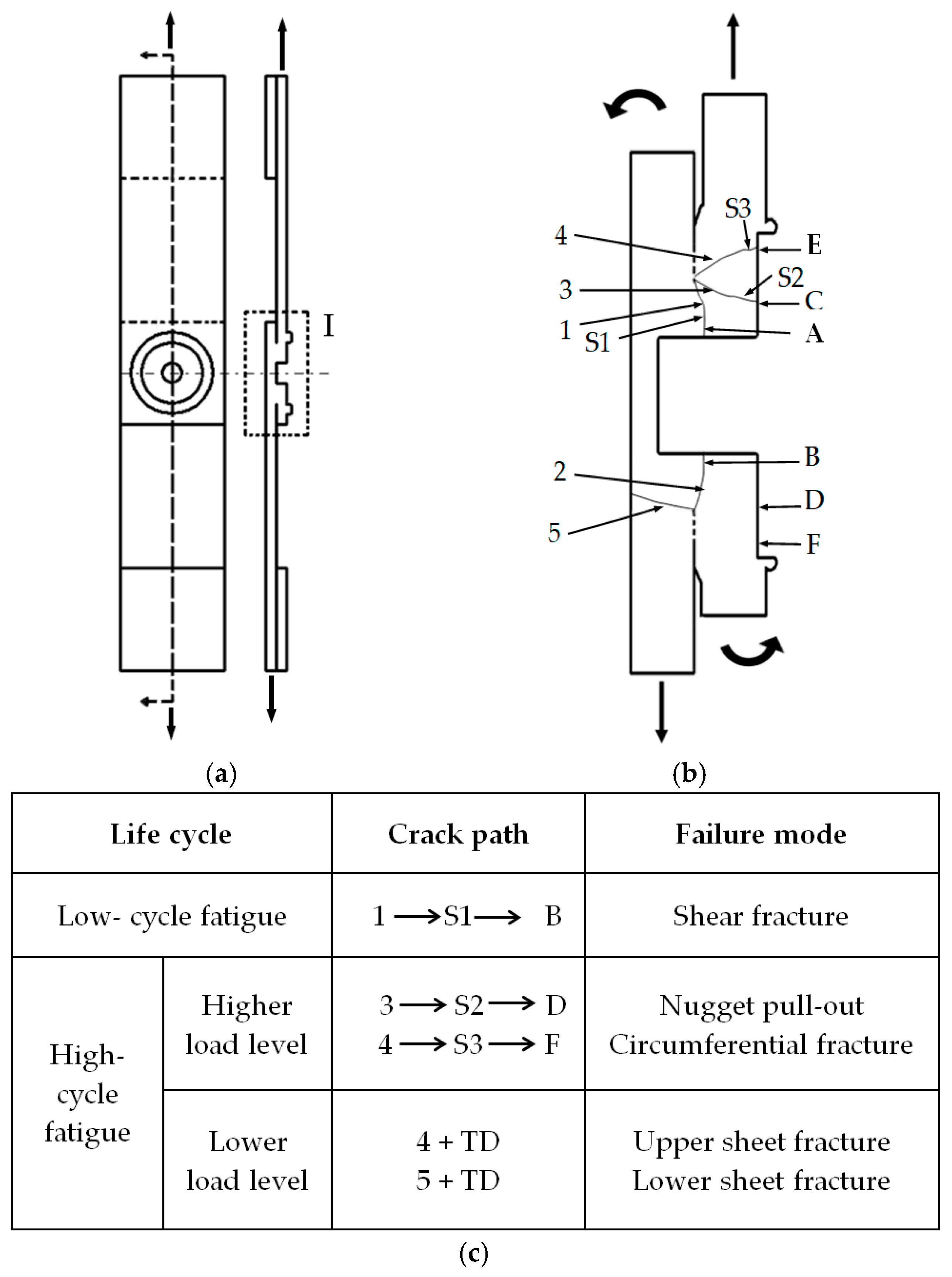 Materials 18 00256 g012