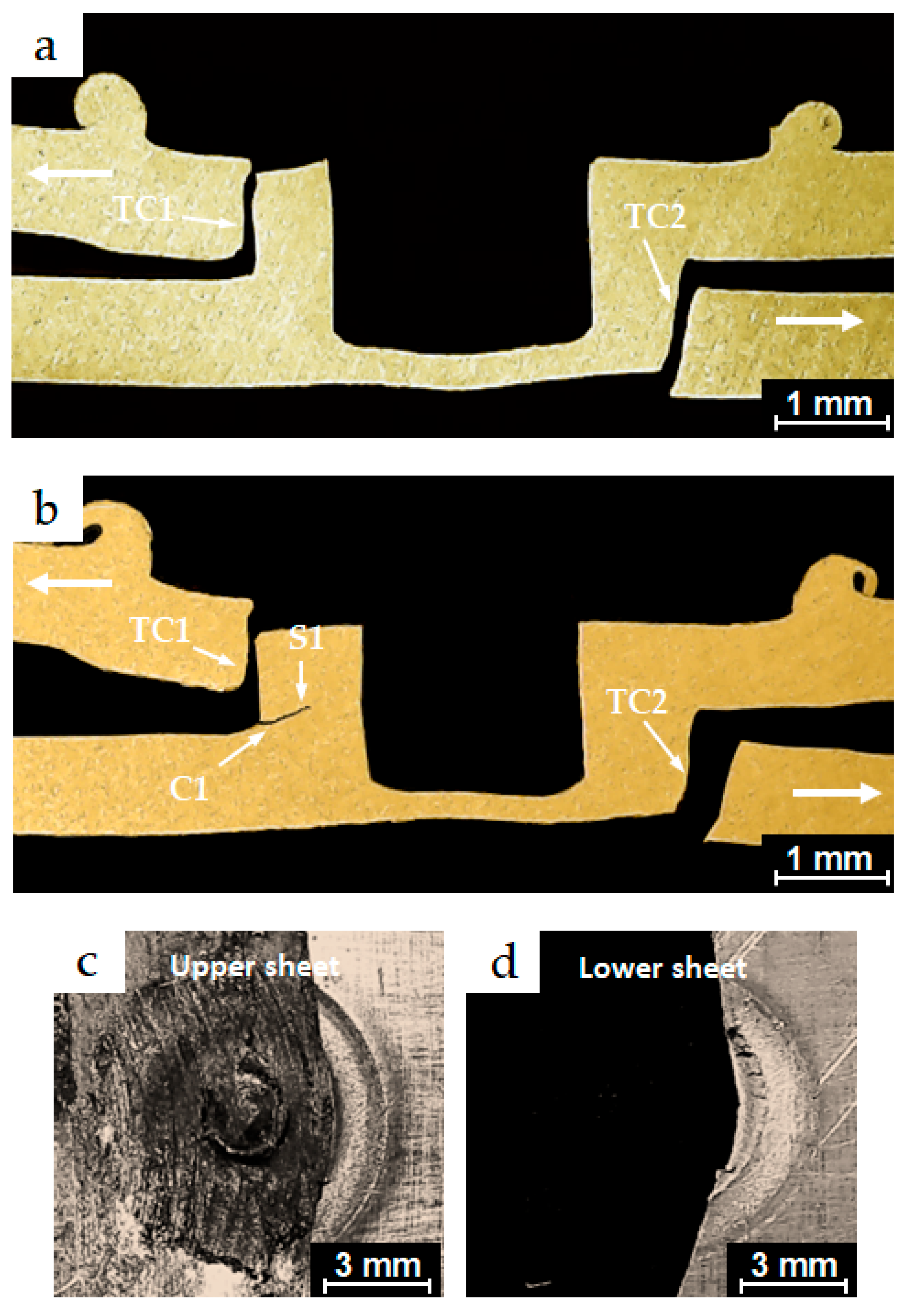Materials 18 00256 g016