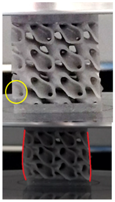 Materials 18 00260 i013