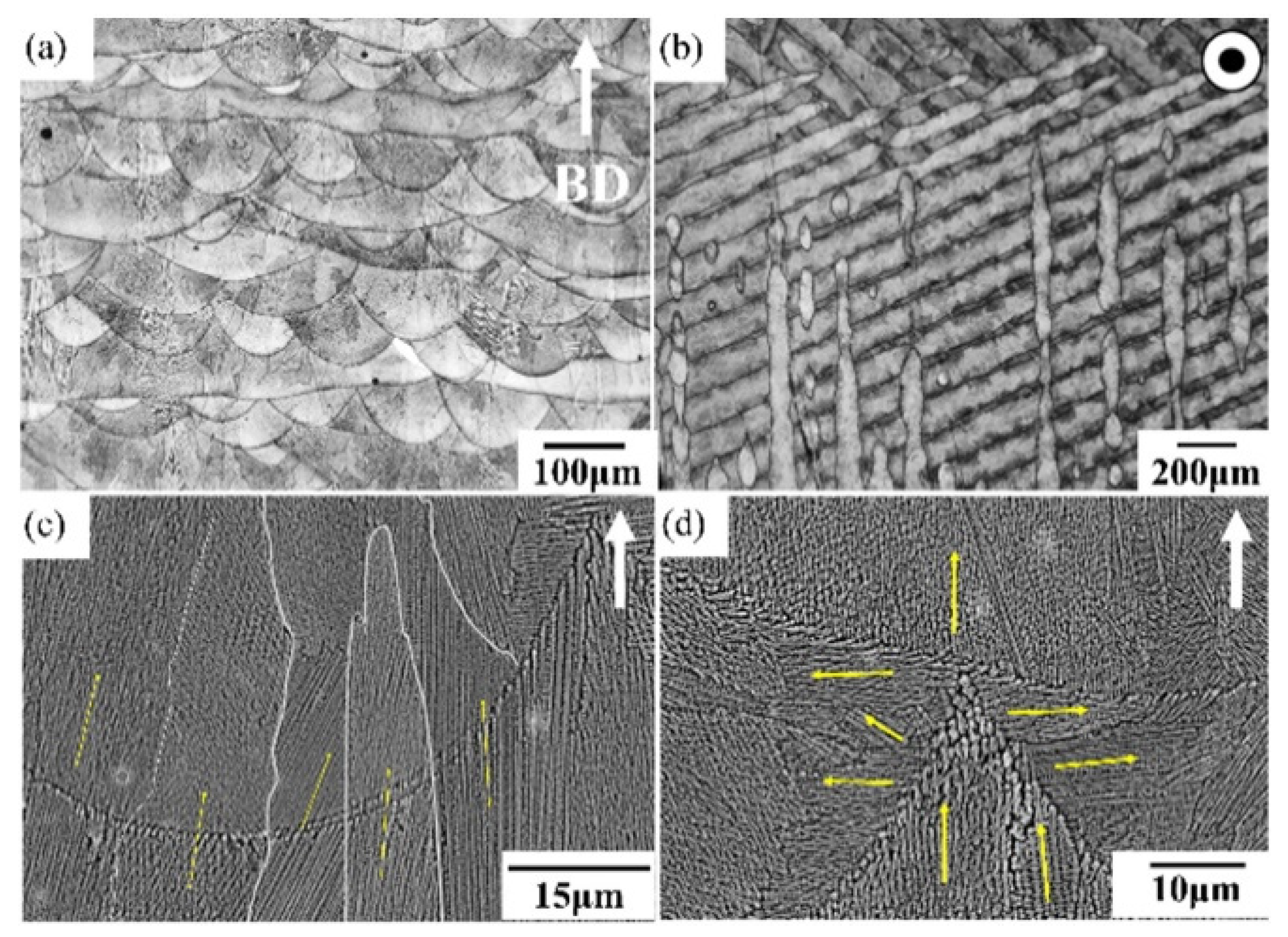 Materials 18 00276 g005