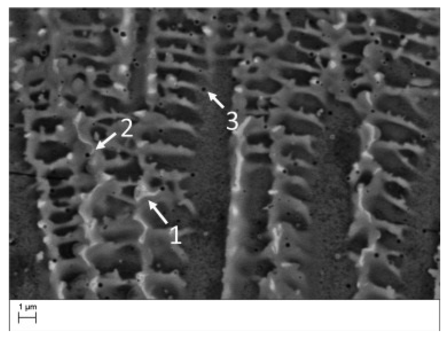 Materials 18 00276 g009