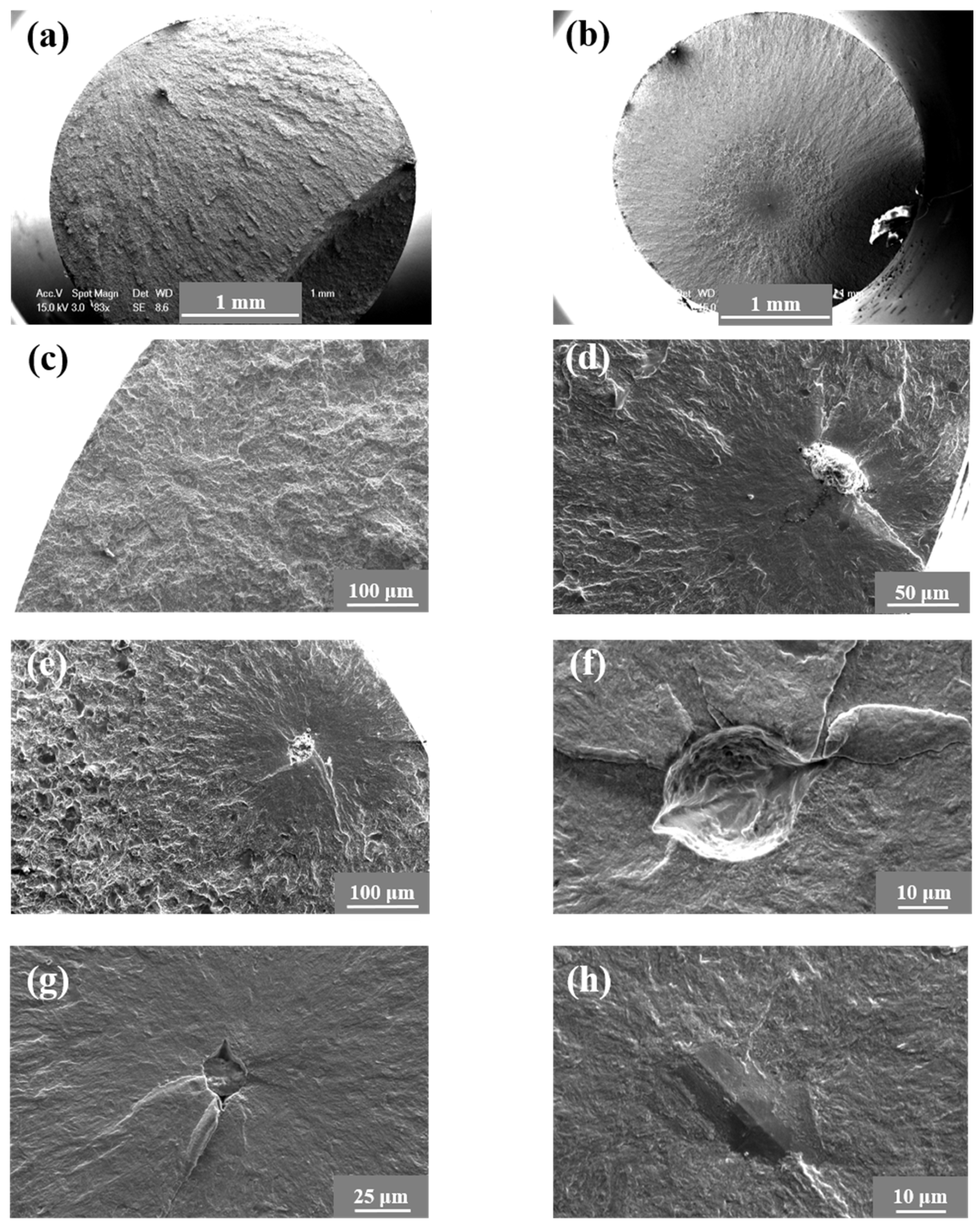 Materials 18 00279 g004