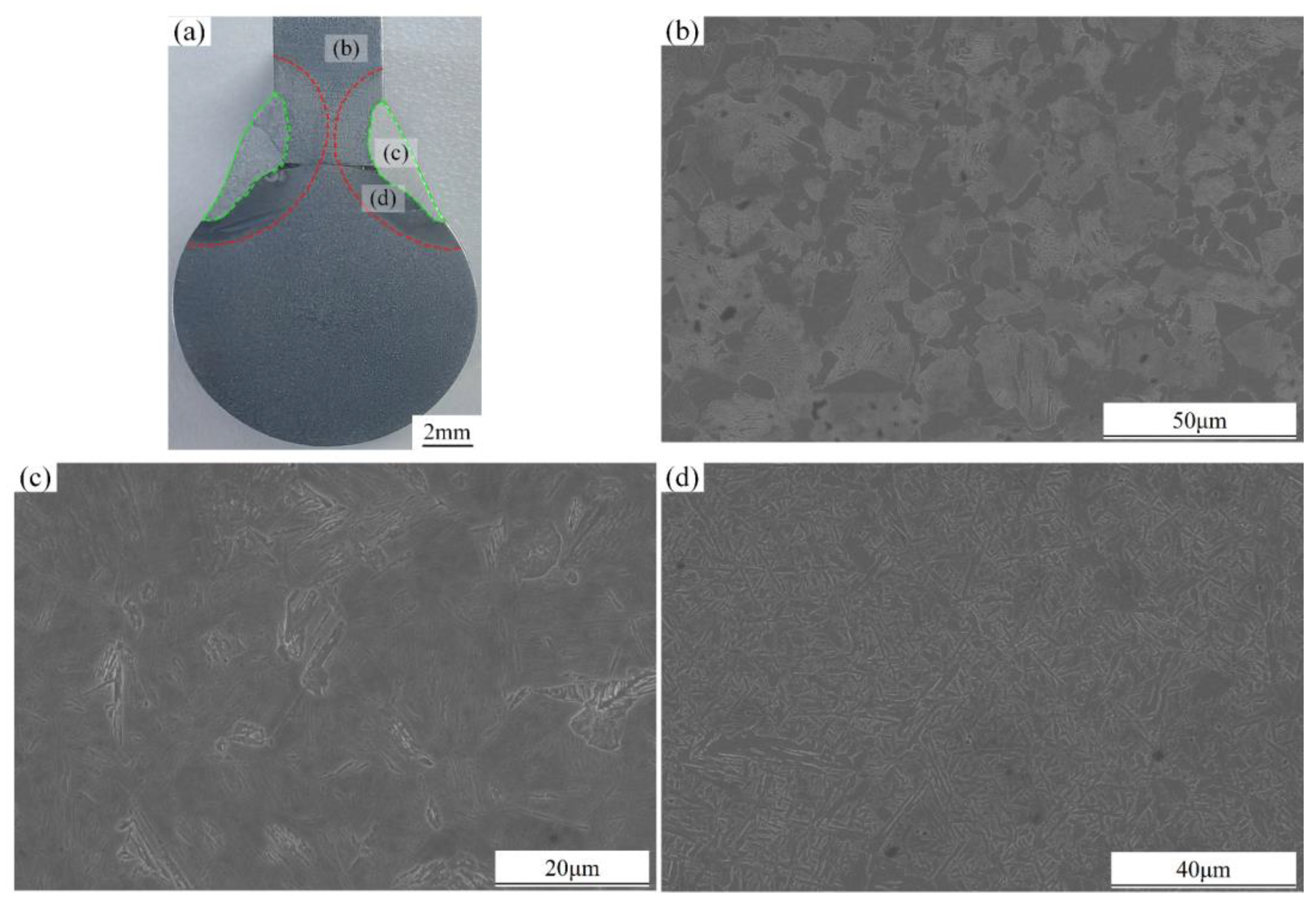 Materials 18 00288 g017