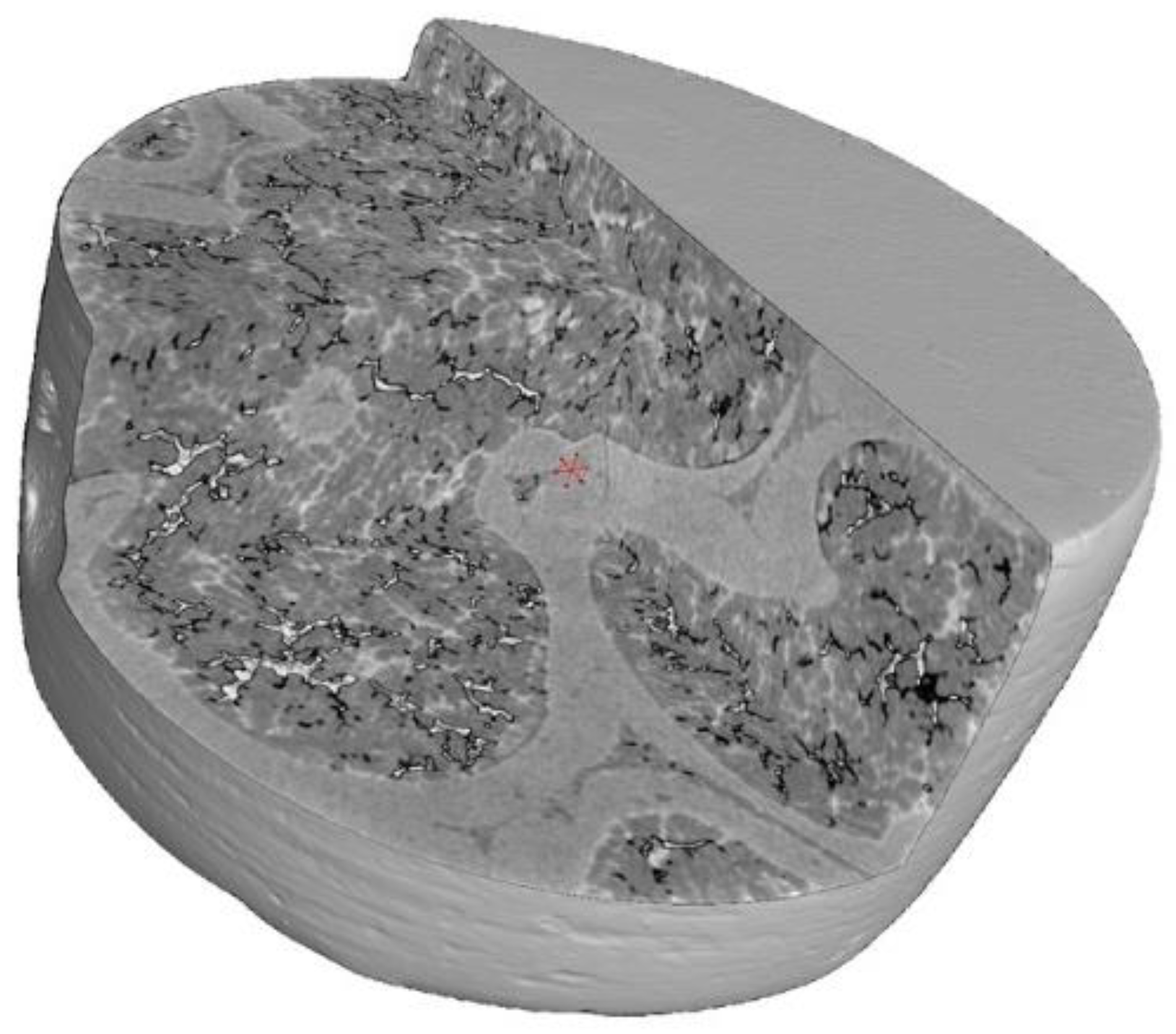 Materials 18 00290 g004