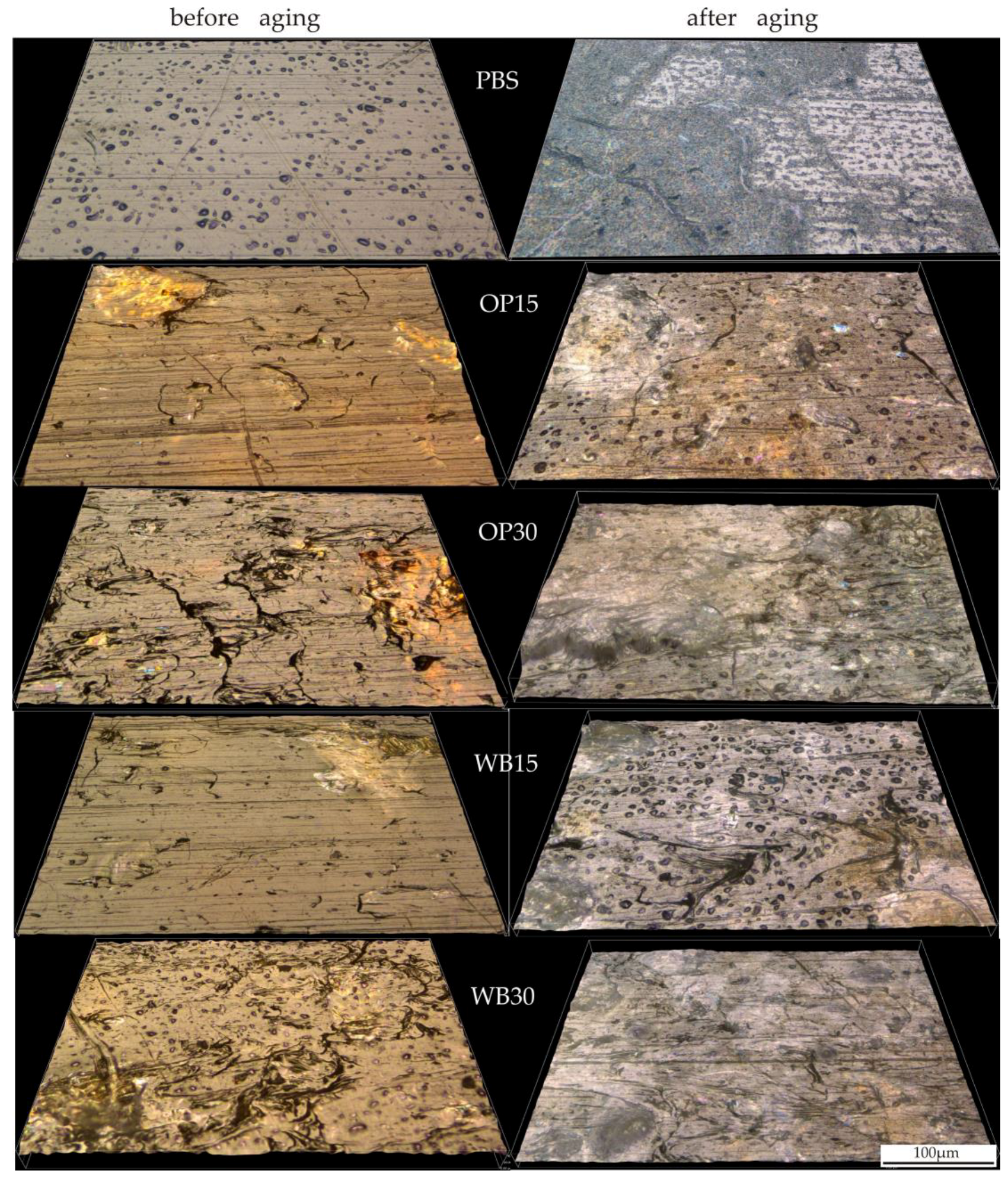 Materials 18 00293 g011