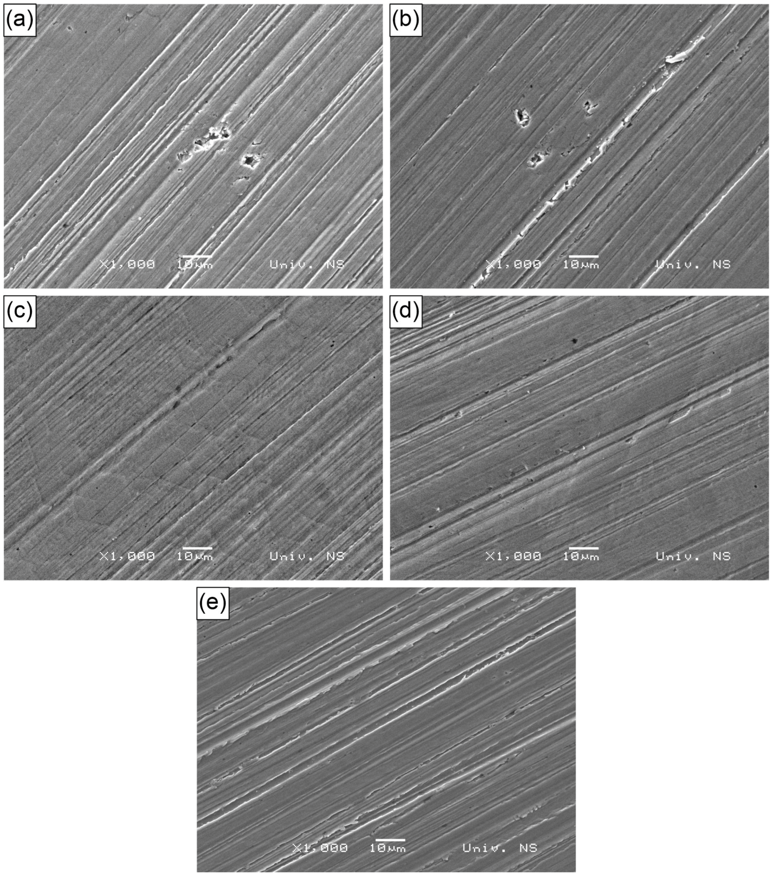 Materials 18 00299 g008