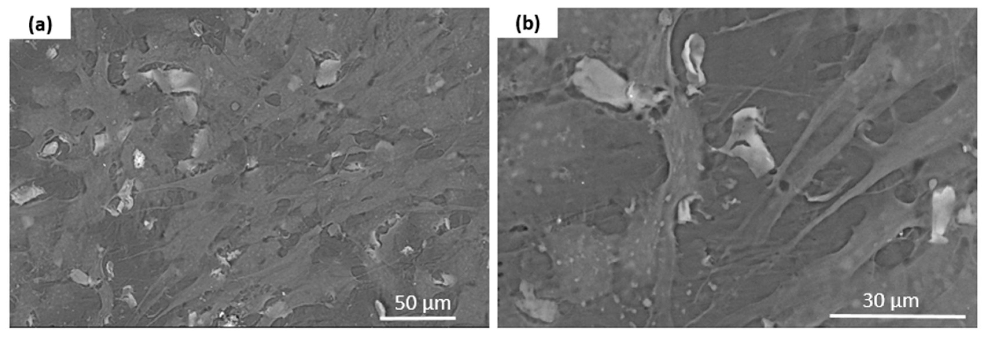 Materials 18 00306 g017 Materials 18 00306 g017