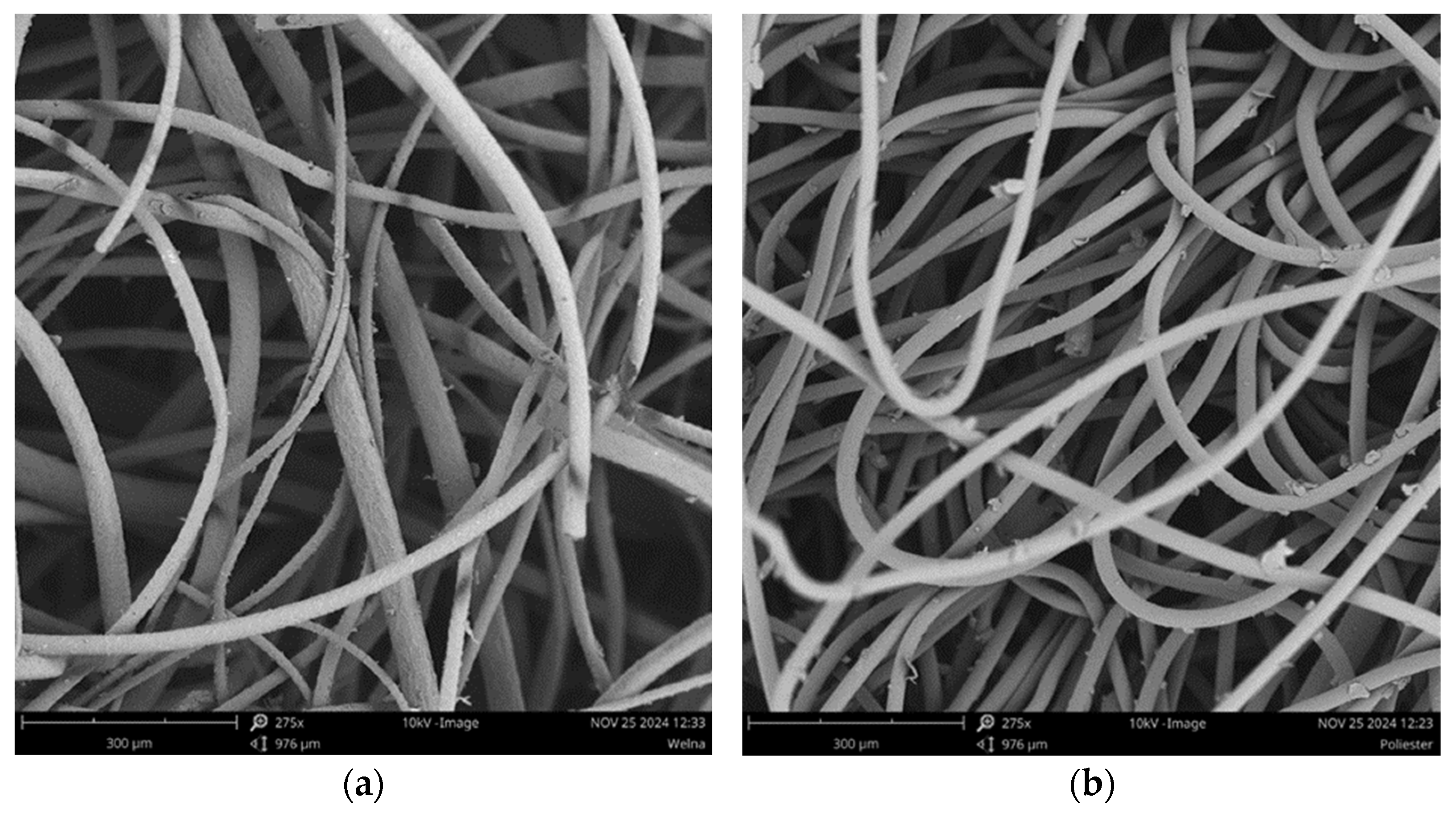 Materials 18 00315 g003